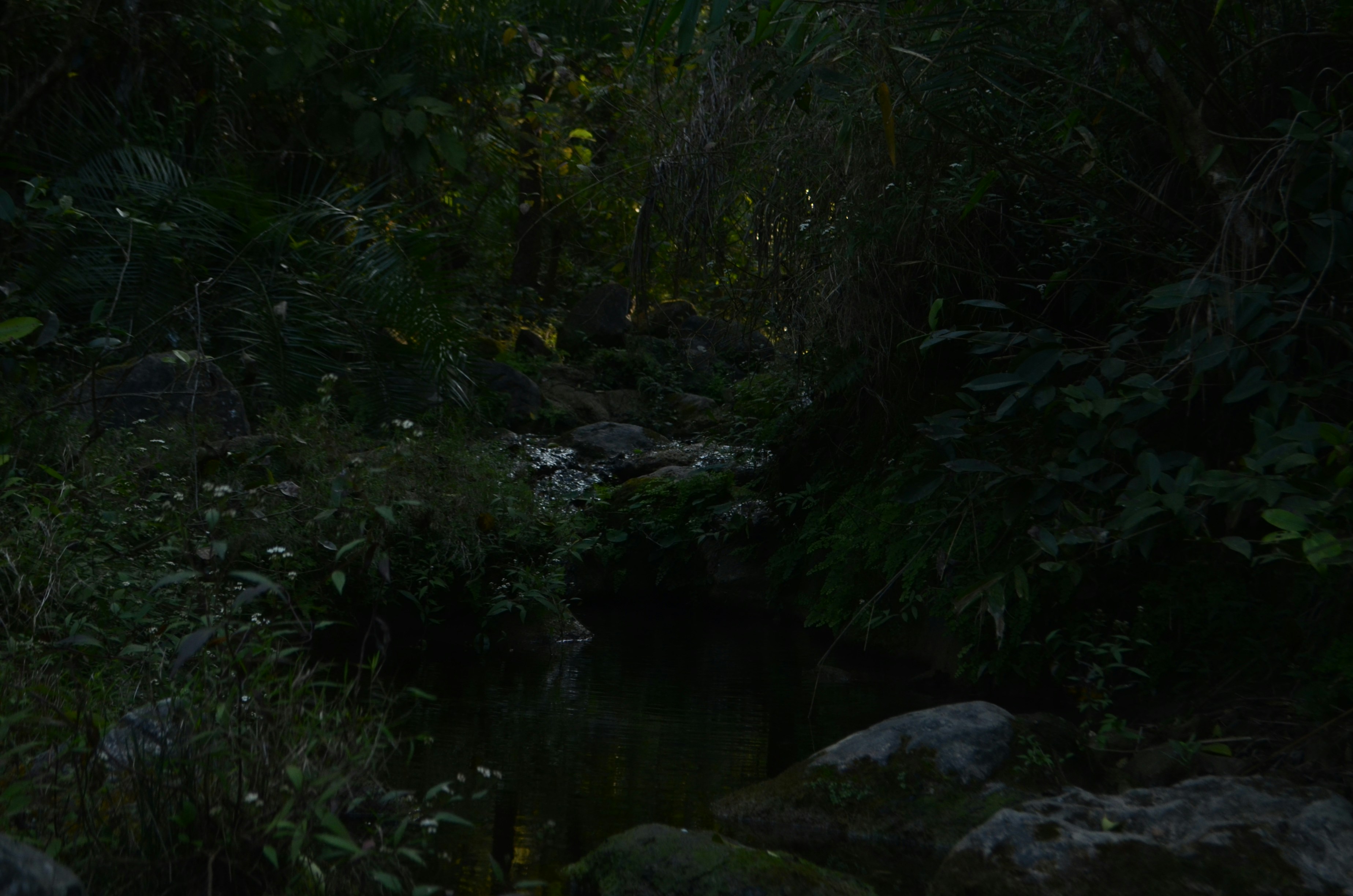 Photo by ridesh