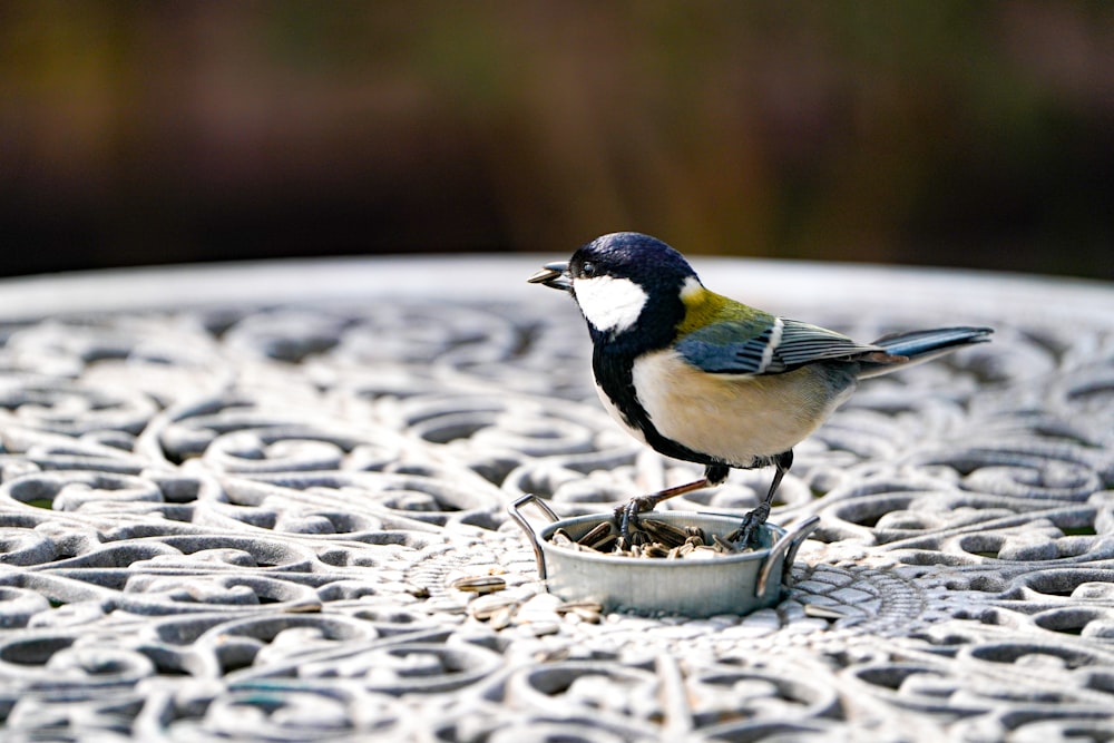 a small bird sitting on top of a metal bowl