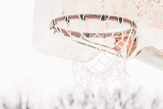 A close-up of a weathered basketball hoop by the ocean, sunlight catching the water droplets mid-air.