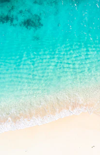 an aerial view of a sandy beach and ocean