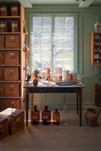 A calm, sunlit room with a small wooden shelf holding delicate homeopathic remedies and dried herbs.