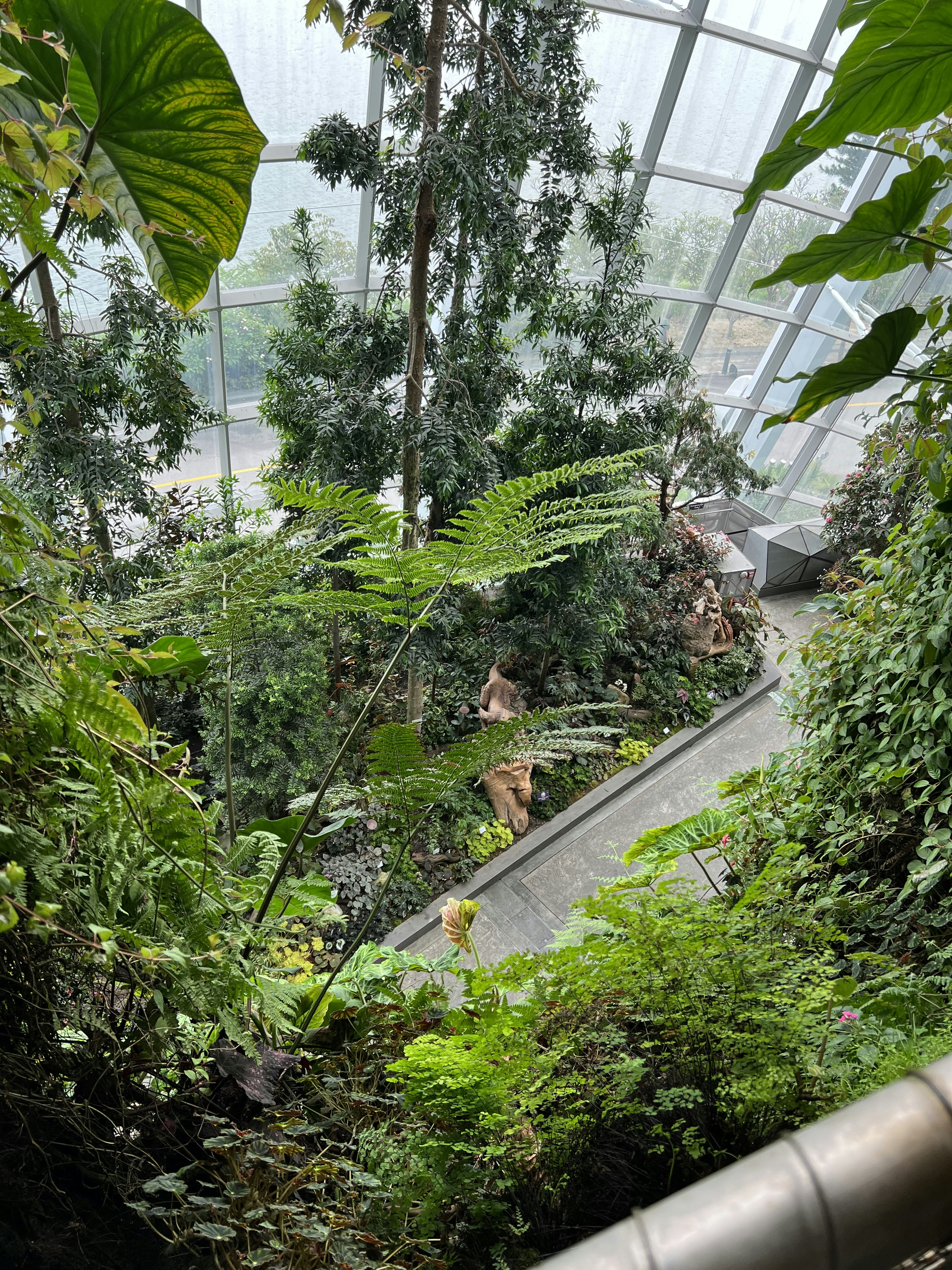 The inside of a greenhouse filled with lots of plants photo – Free ...