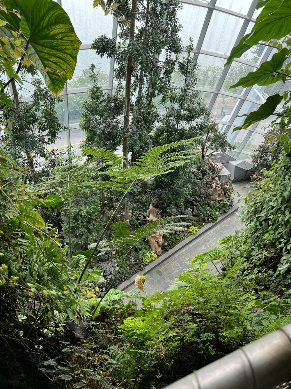 the inside of a greenhouse filled with lots of plants