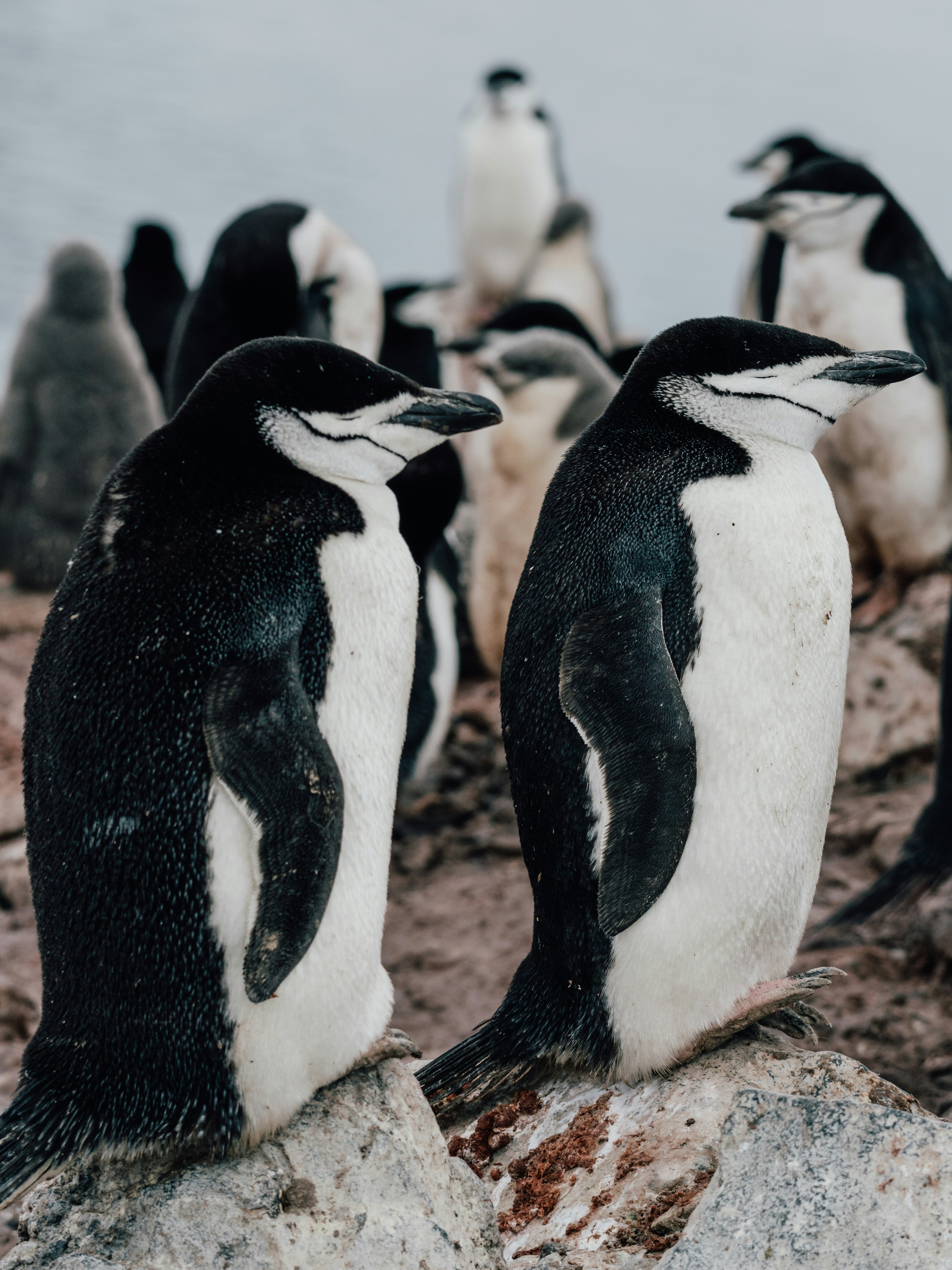 Photo by tetiana_gry