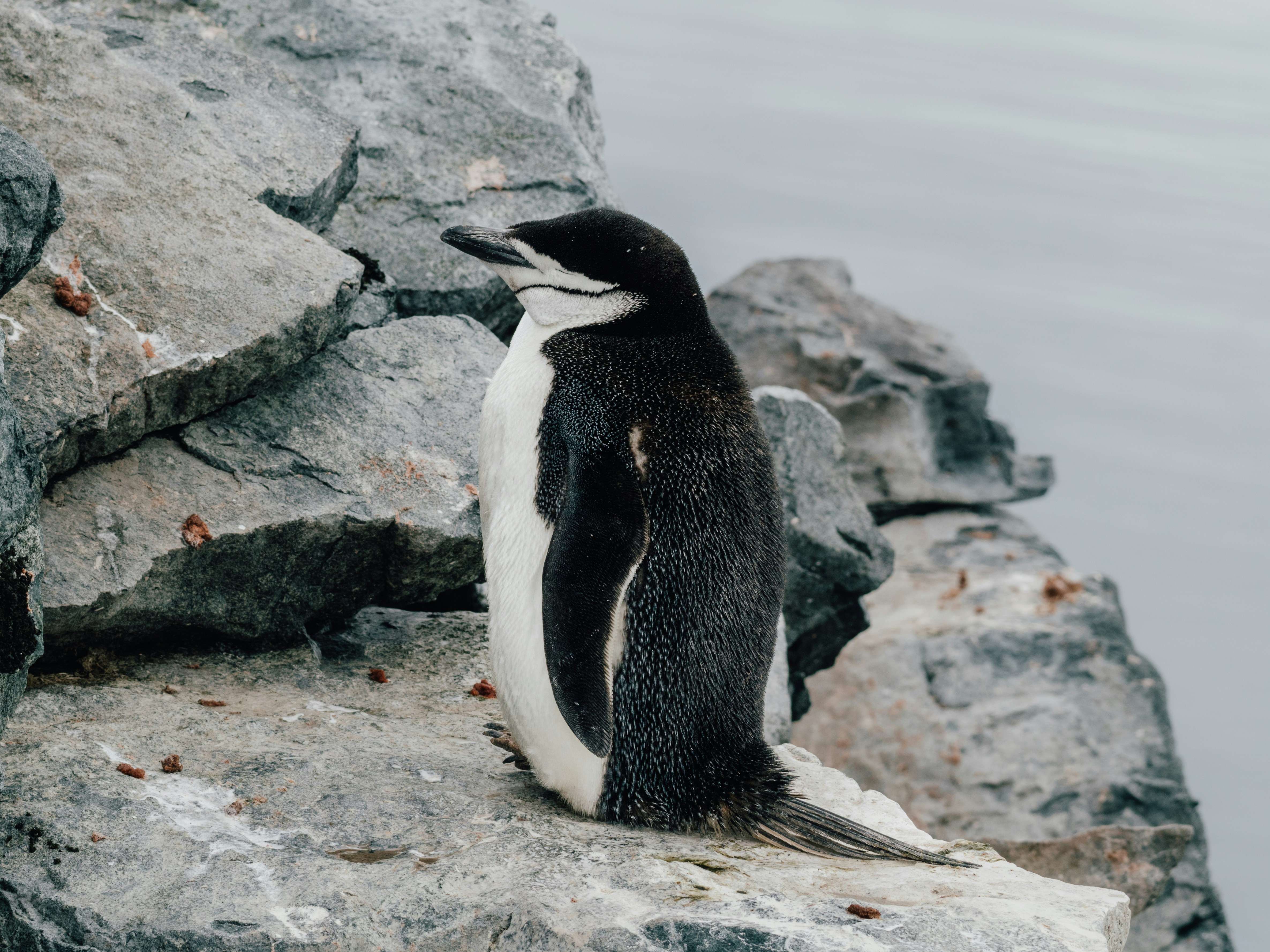 Photo by tetiana_gry