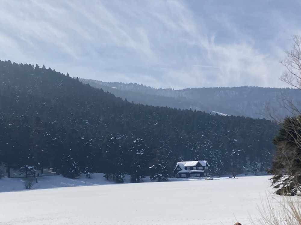 Un campo innevato con una casa sullo sfondo