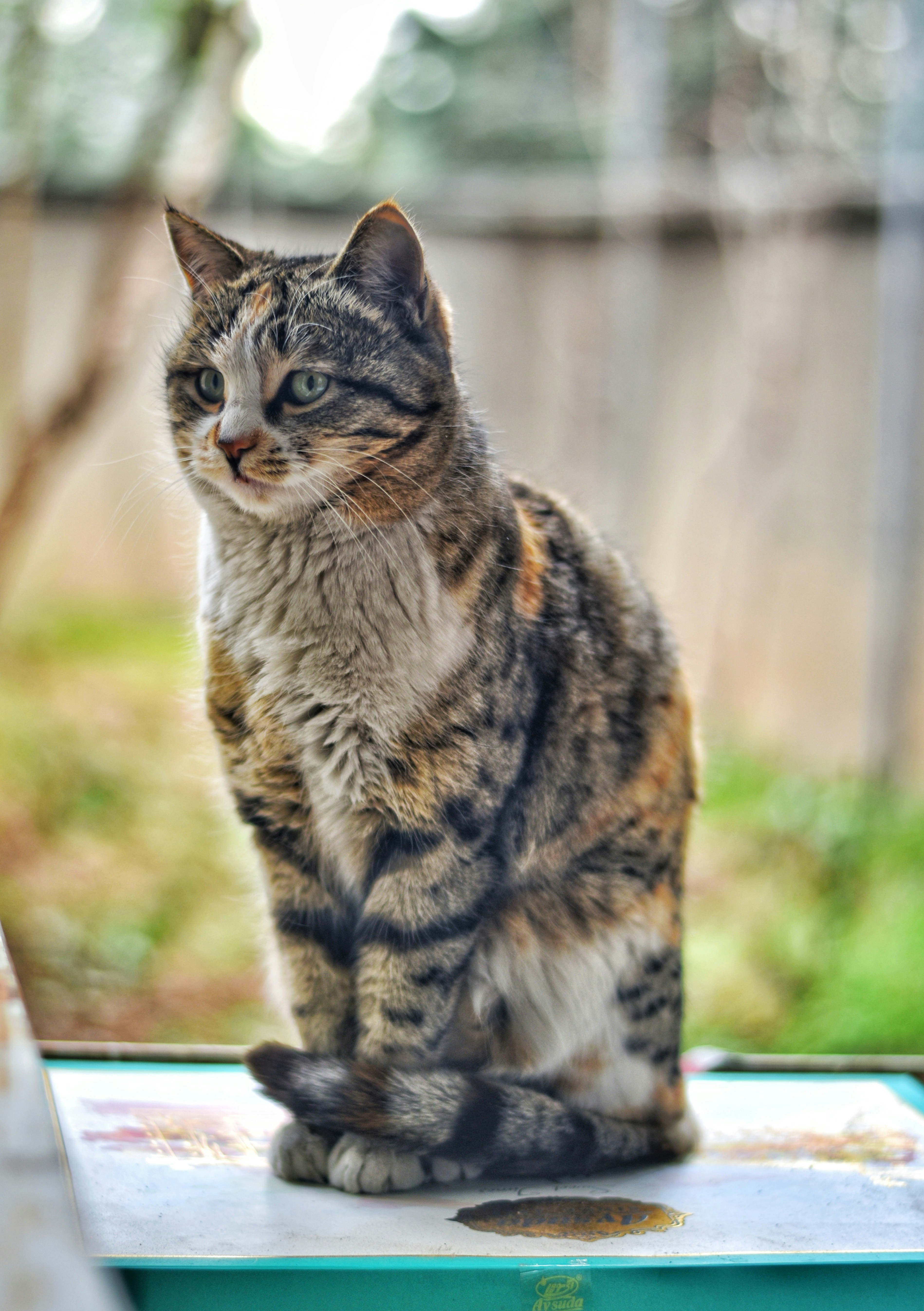 Photo by nasimkeshmiri