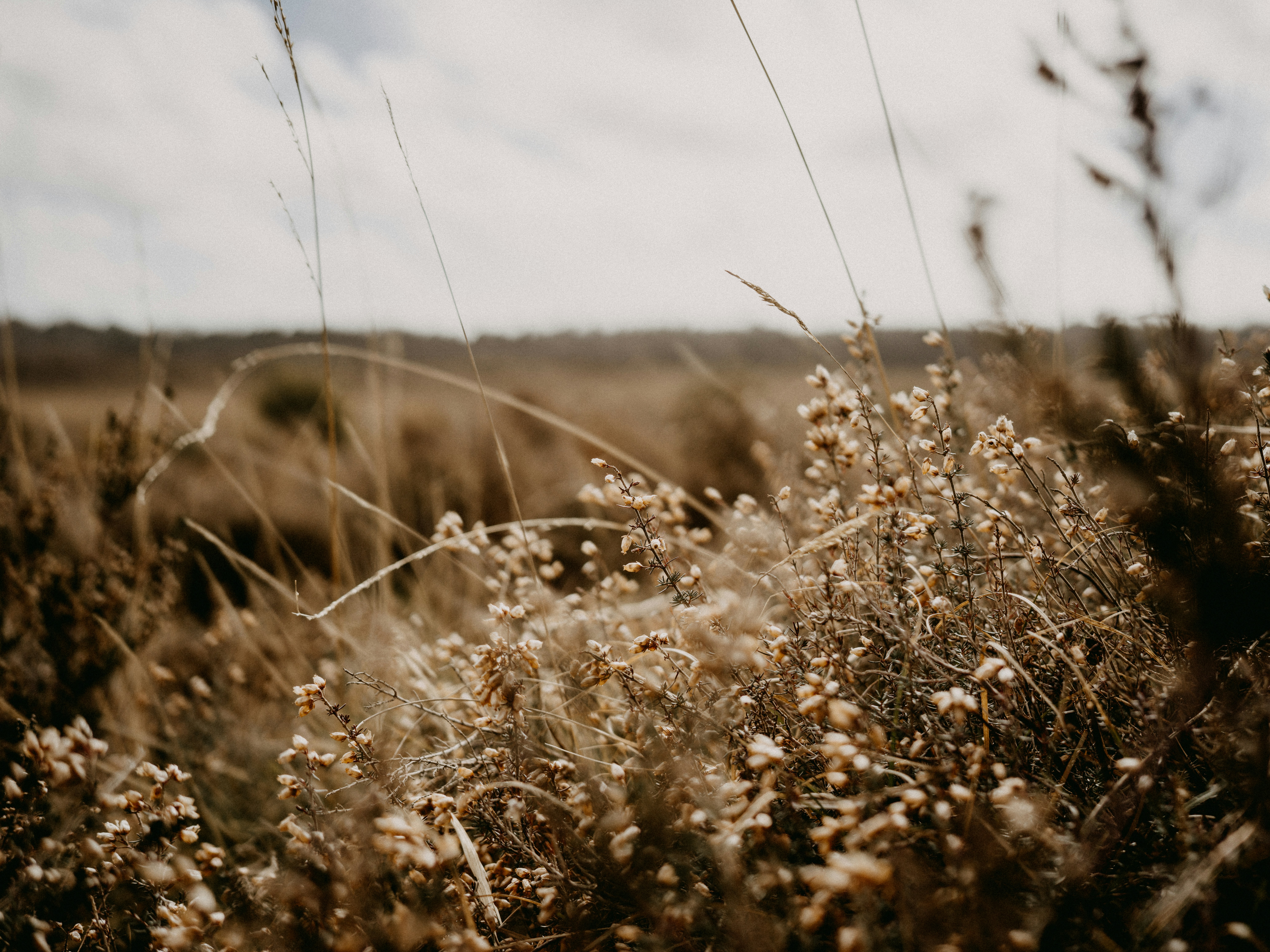 Photo by anniespratt