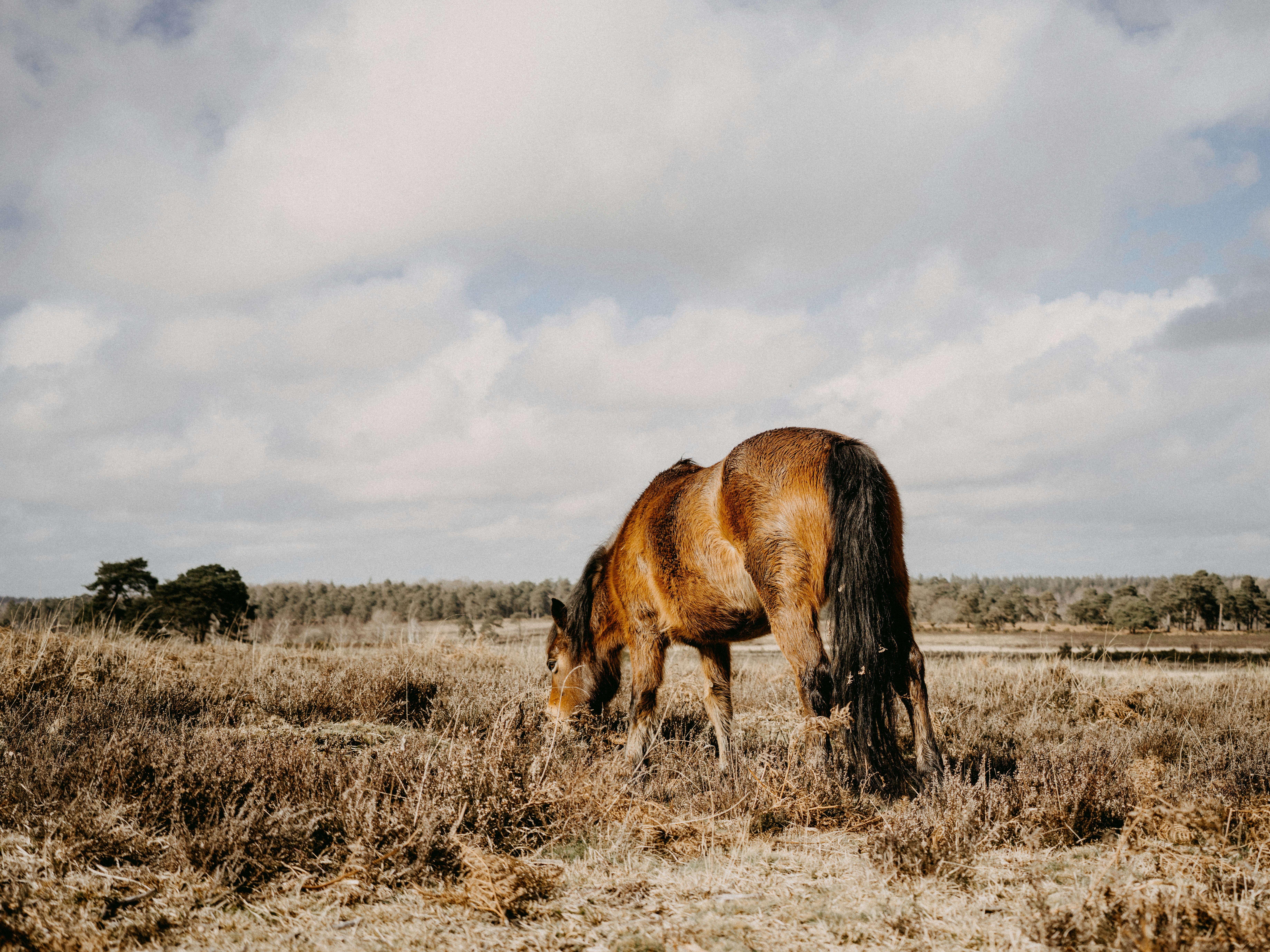 Photo by anniespratt