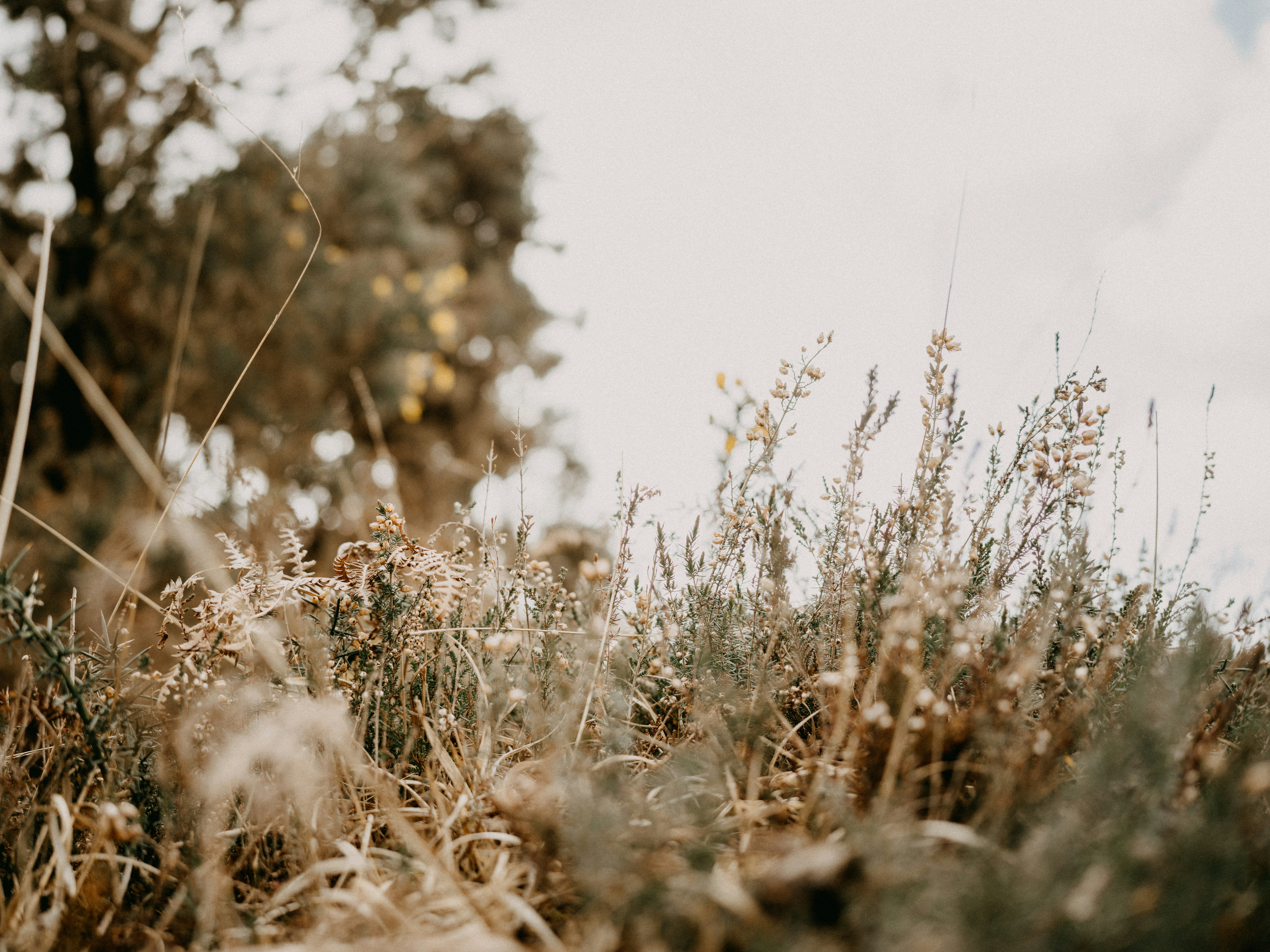 Photo by anniespratt