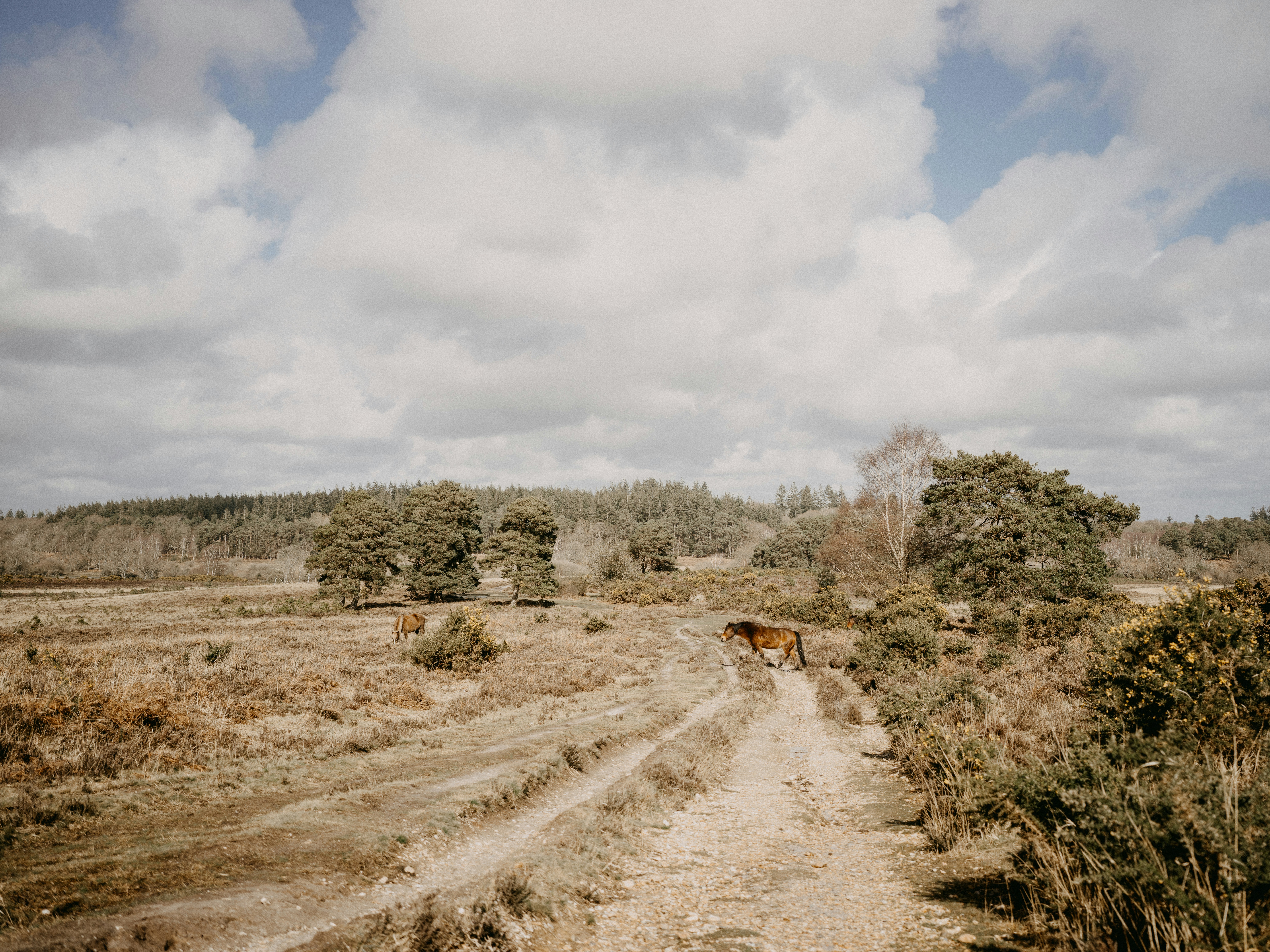 Photo by anniespratt