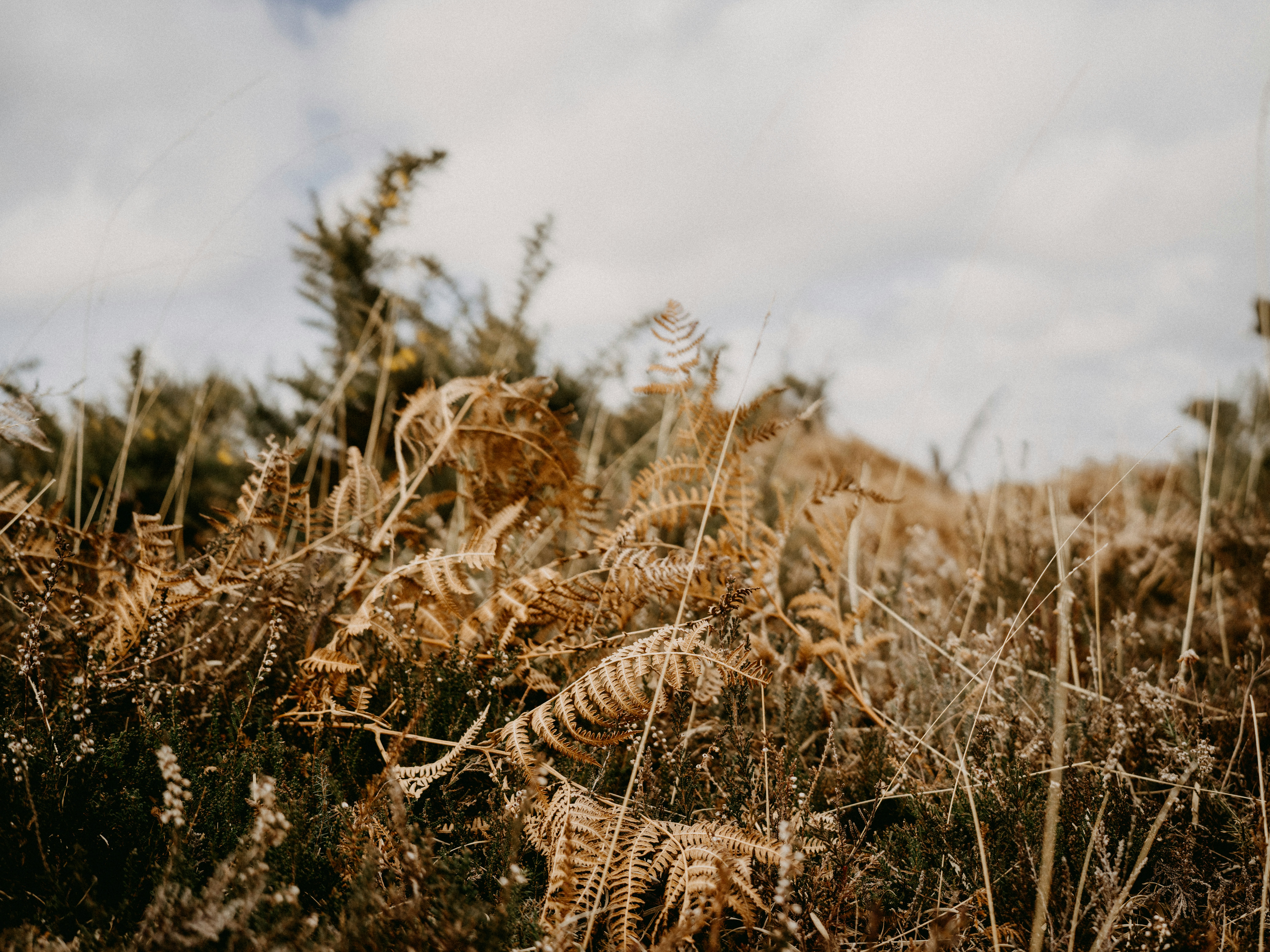 Photo by anniespratt