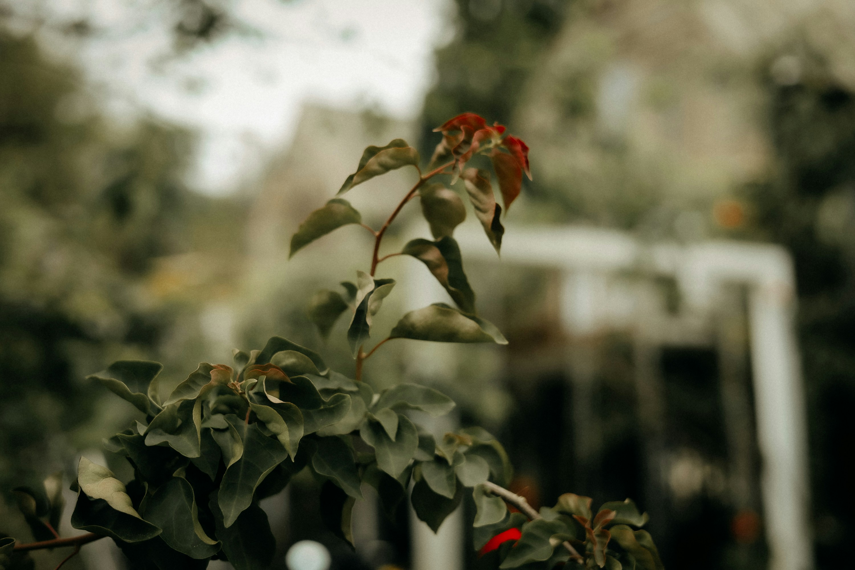 Photo by defiernguyen