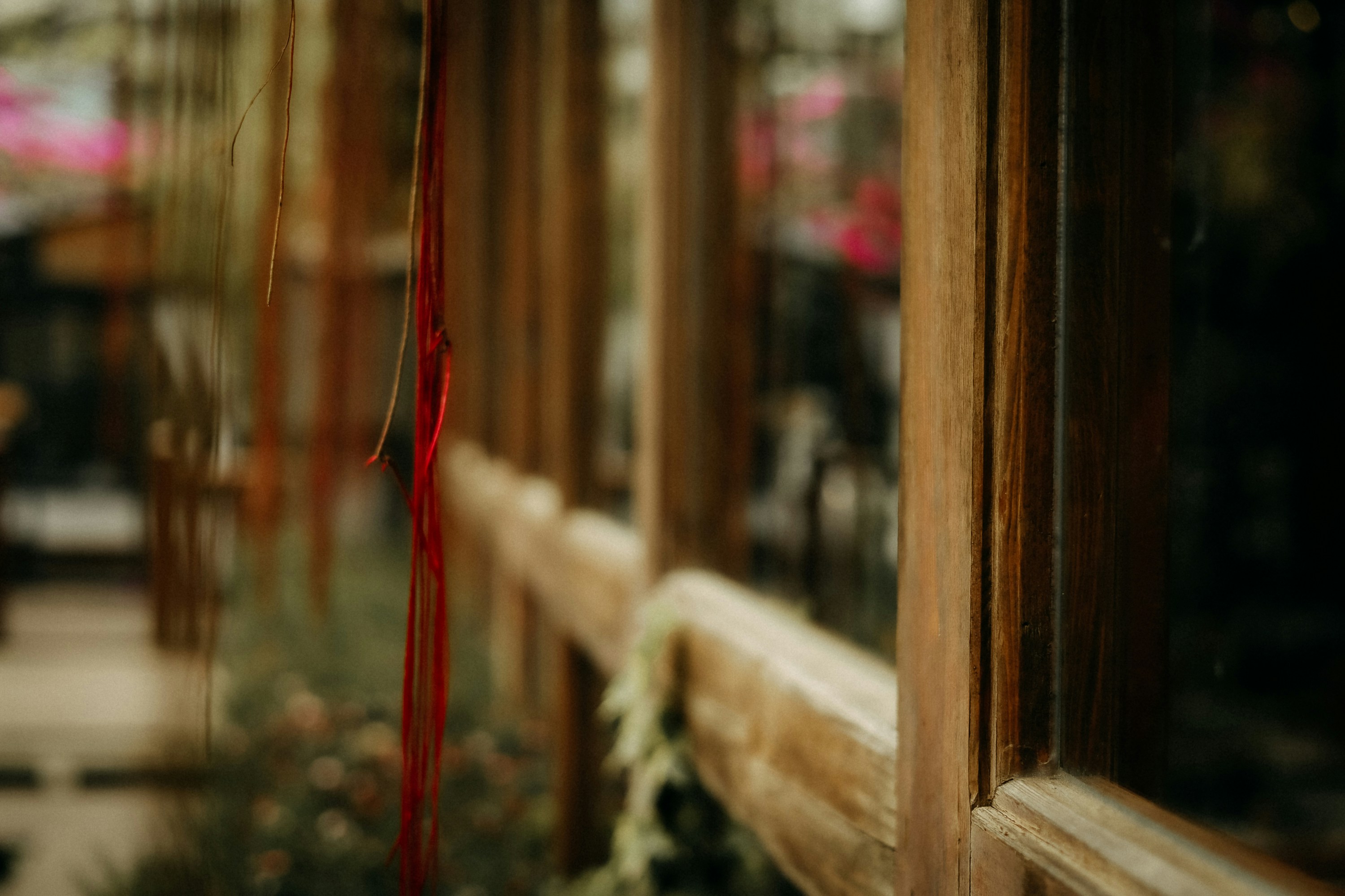 Photo by defiernguyen