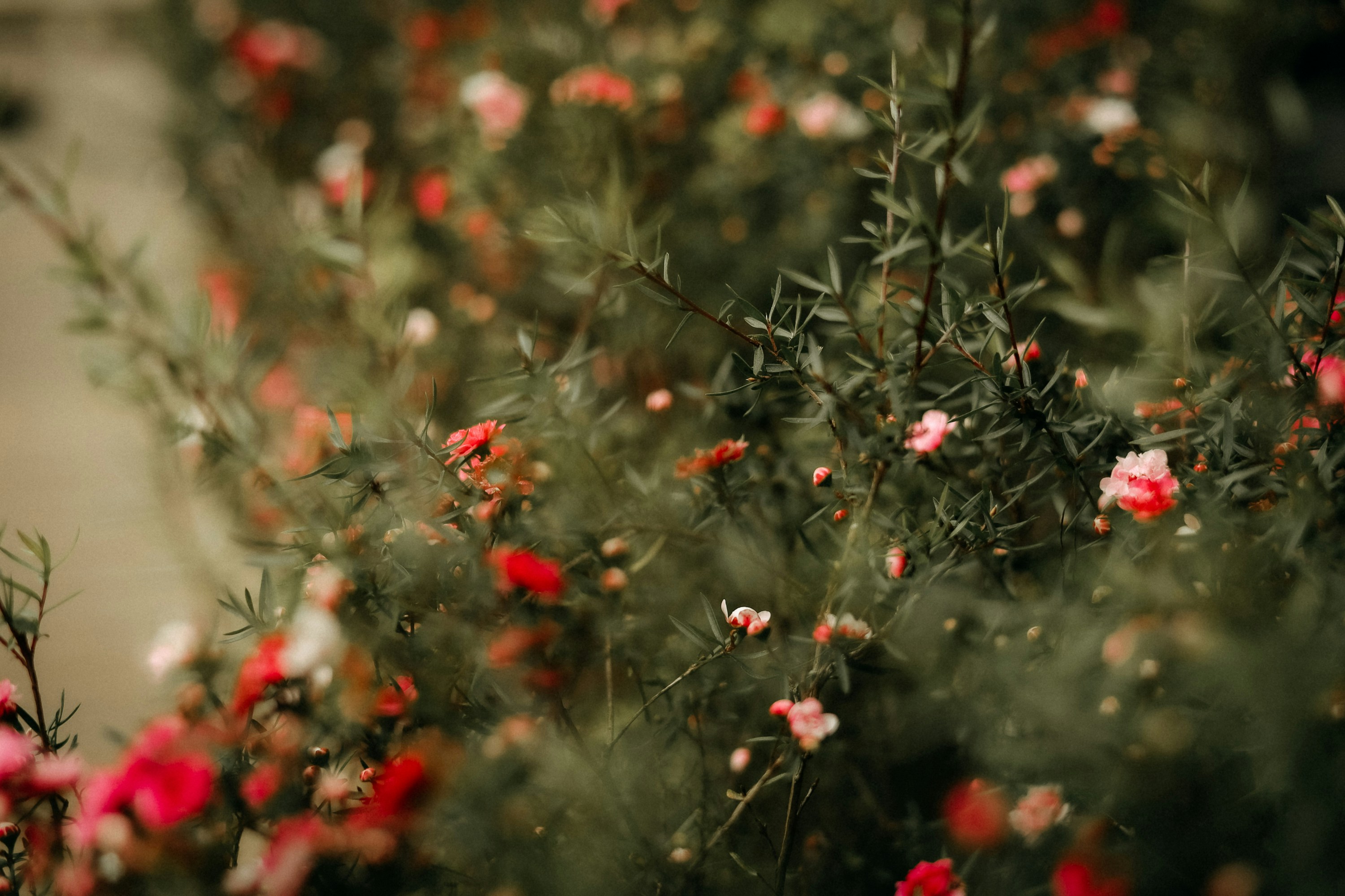 Photo by defiernguyen