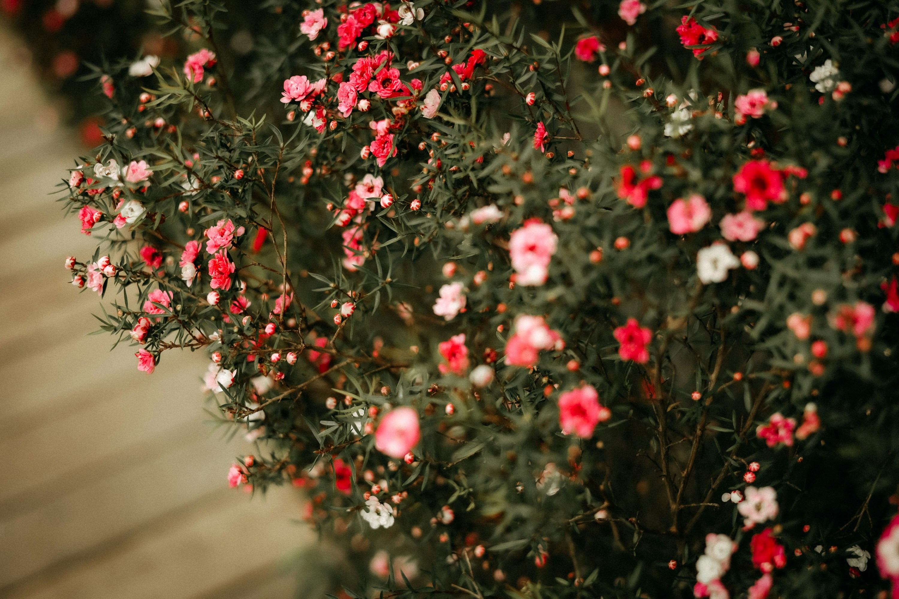 Photo by defiernguyen