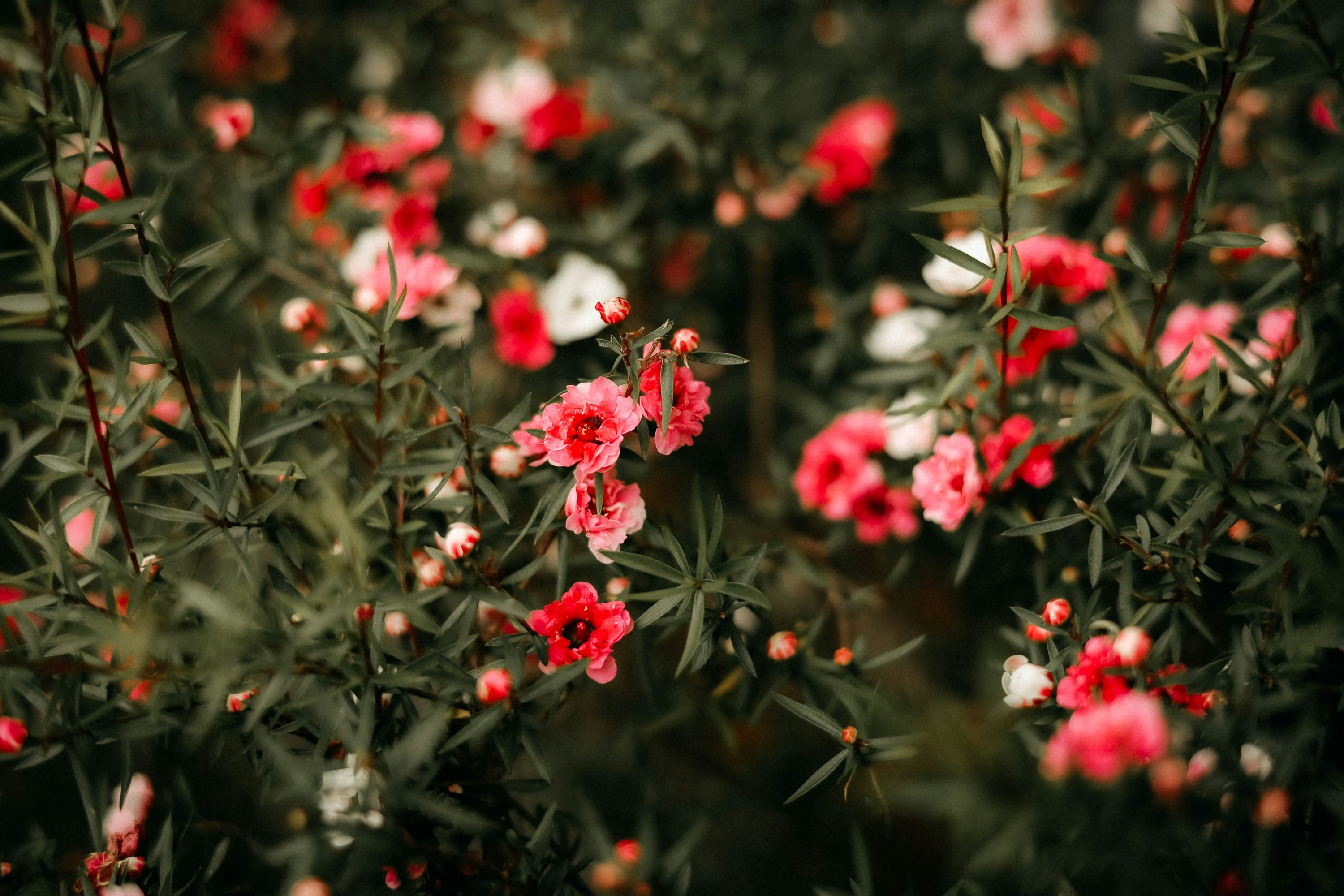 Photo by defiernguyen