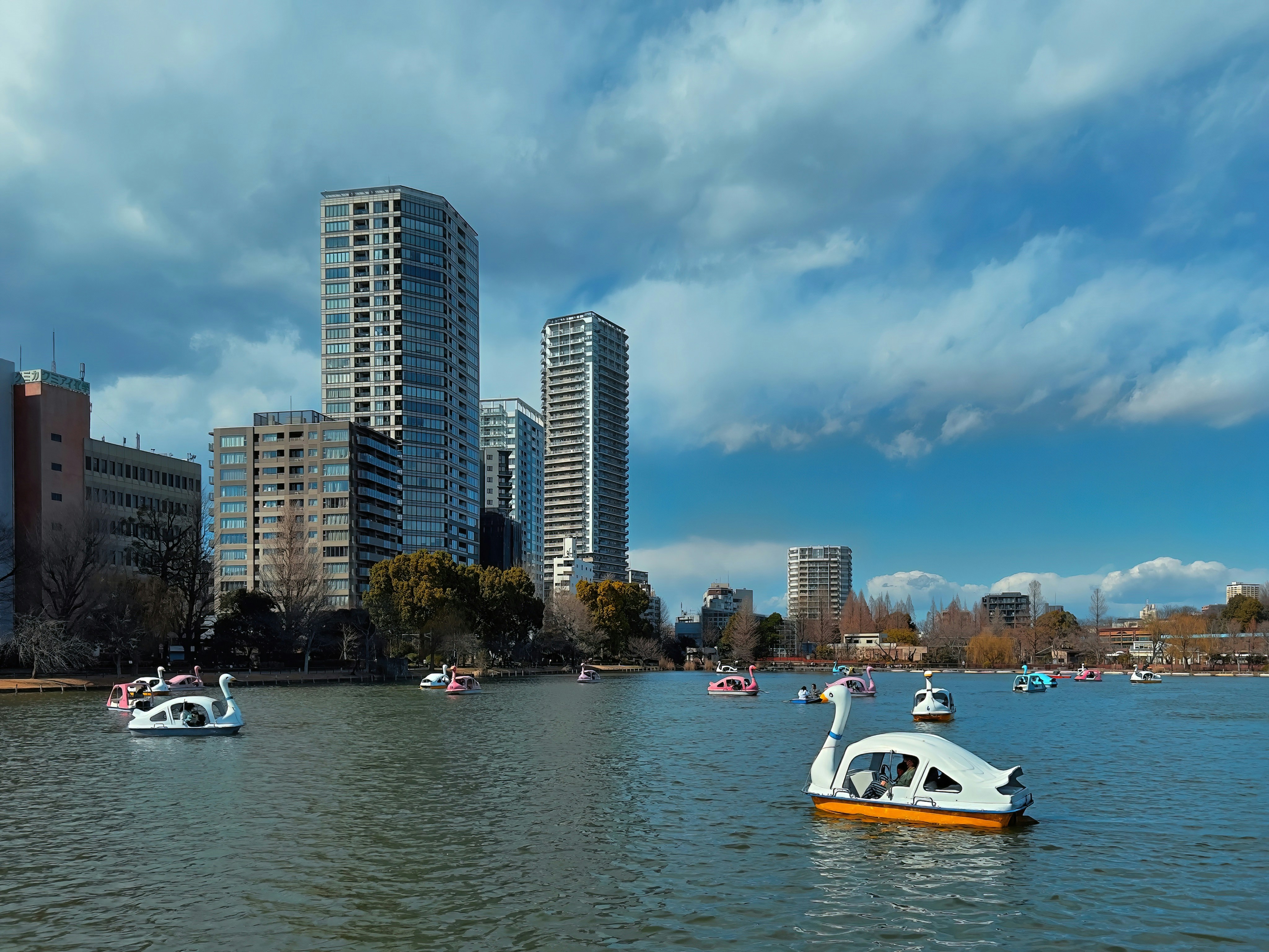 swan pedal boats in the middle of the river in the city