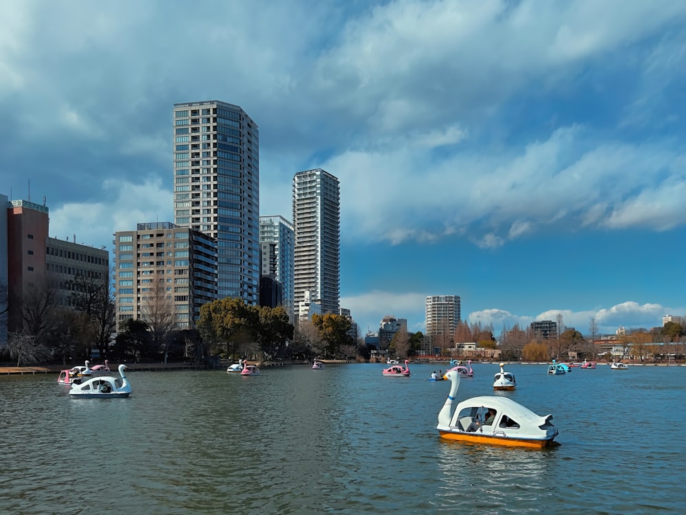 swan pedal boats in the middle of the river in the city