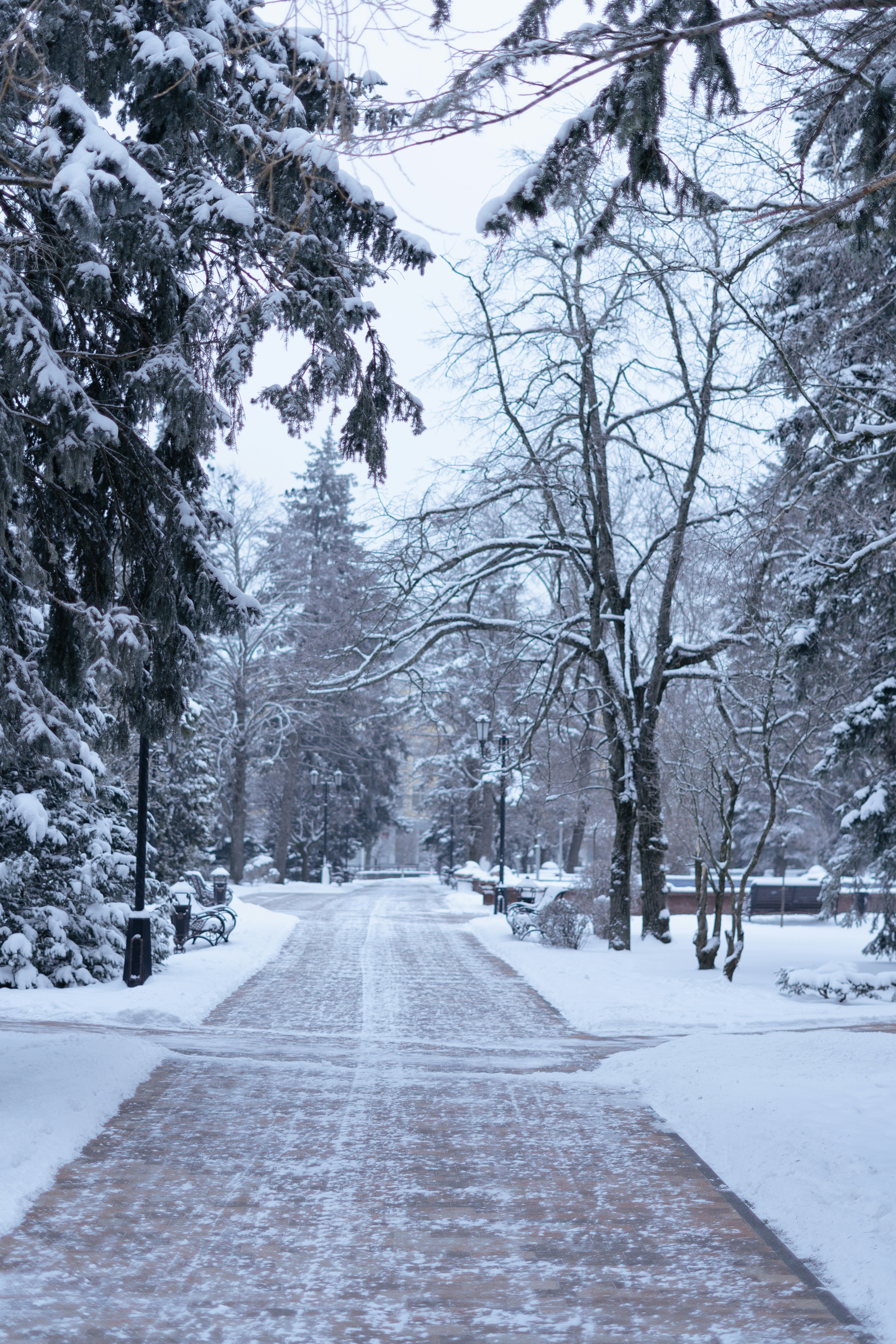 Photo by albina___white