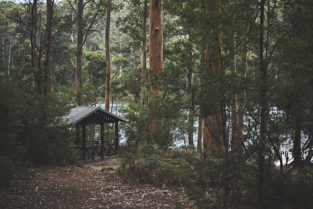 a small gazebo in the middle of a forest
