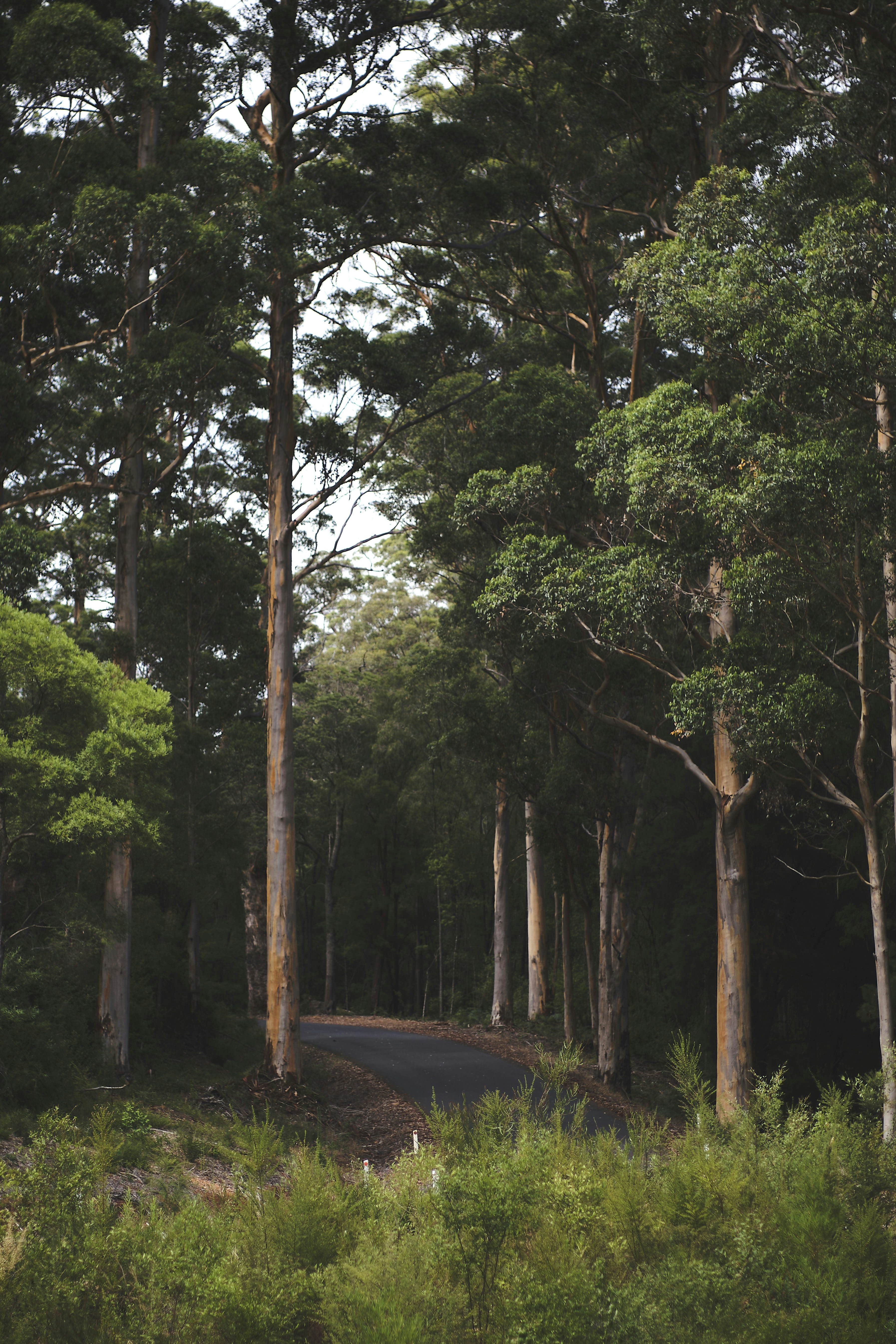 Photo by jamesitliong