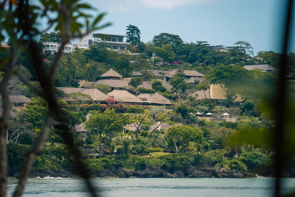 a house on a hill overlooking a body of water