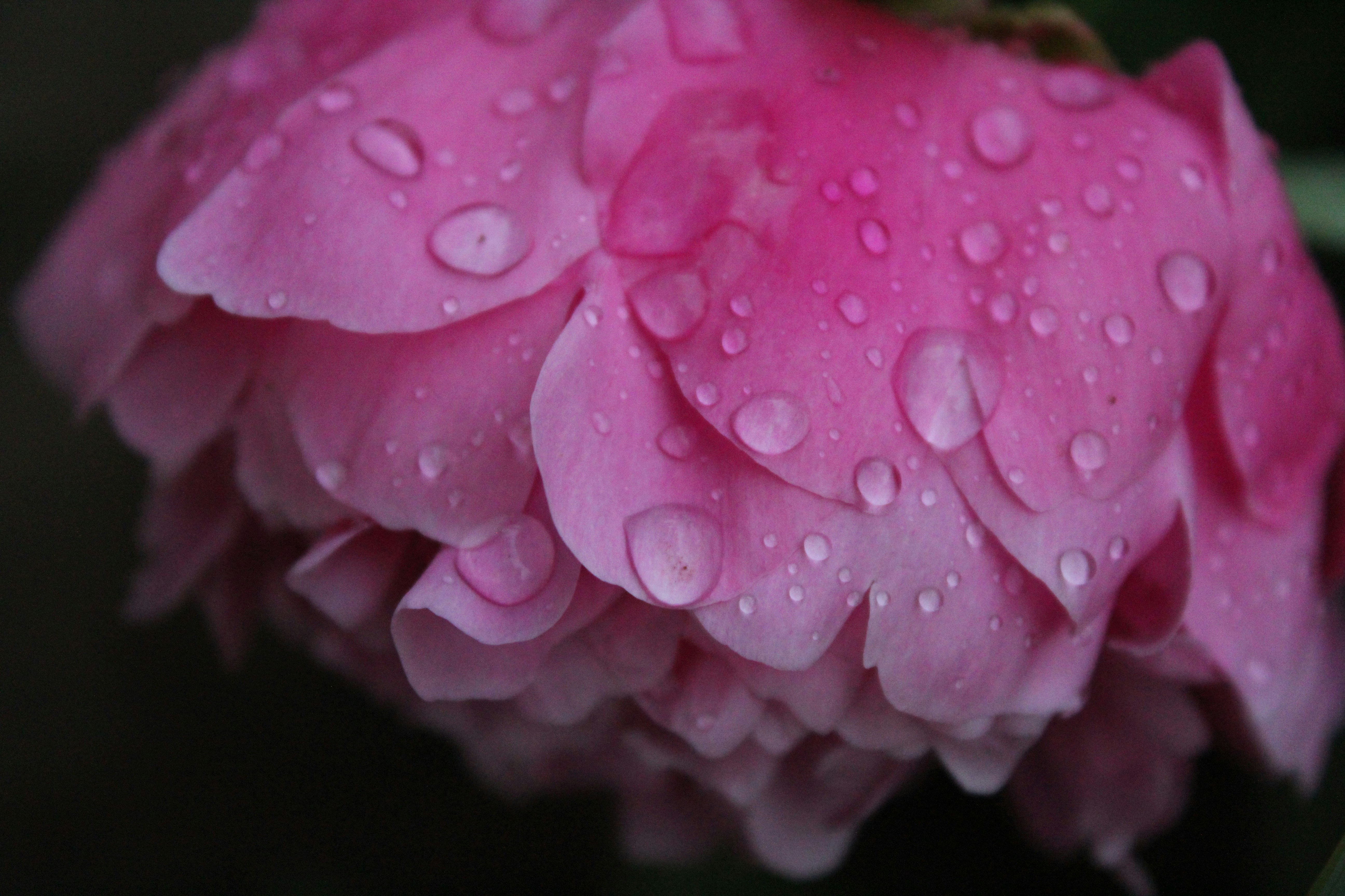 Photo by travel_abroad