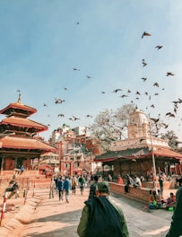 a flock of birds flying over a building