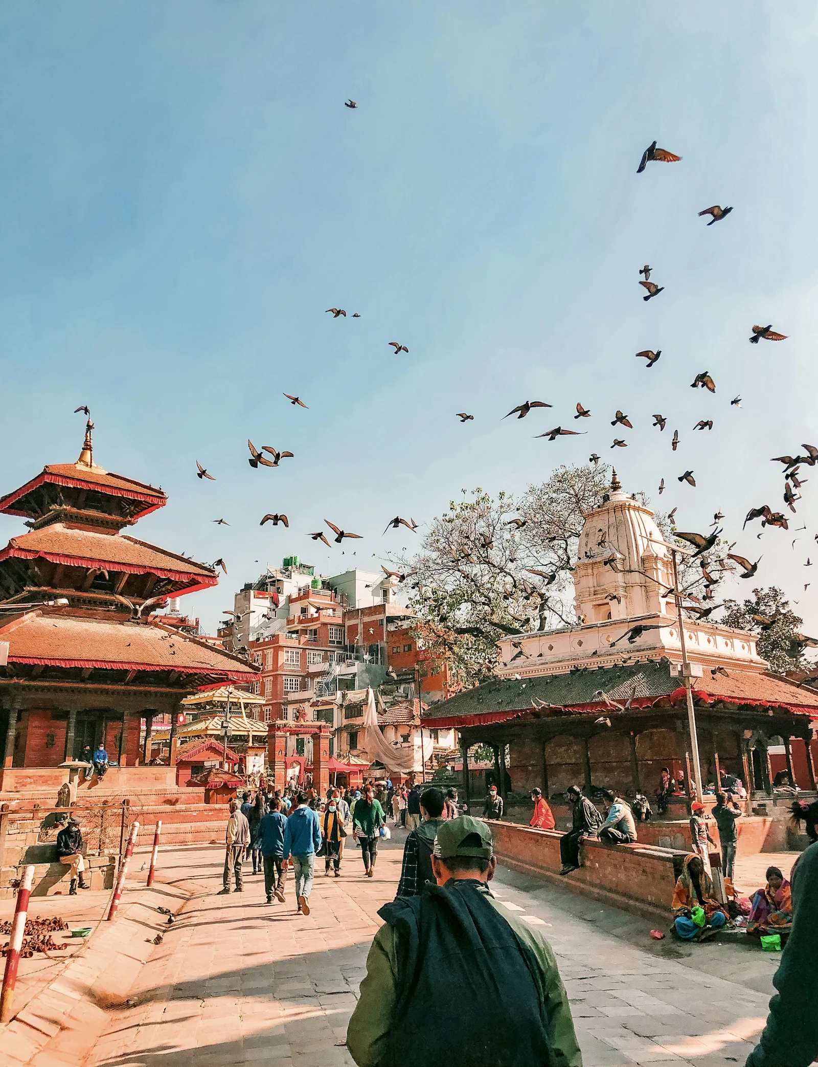 Pigeons wheeling over Kathmandu Durbar Square on a clear morning, tiered pagoda roofs and a white temple framing the square