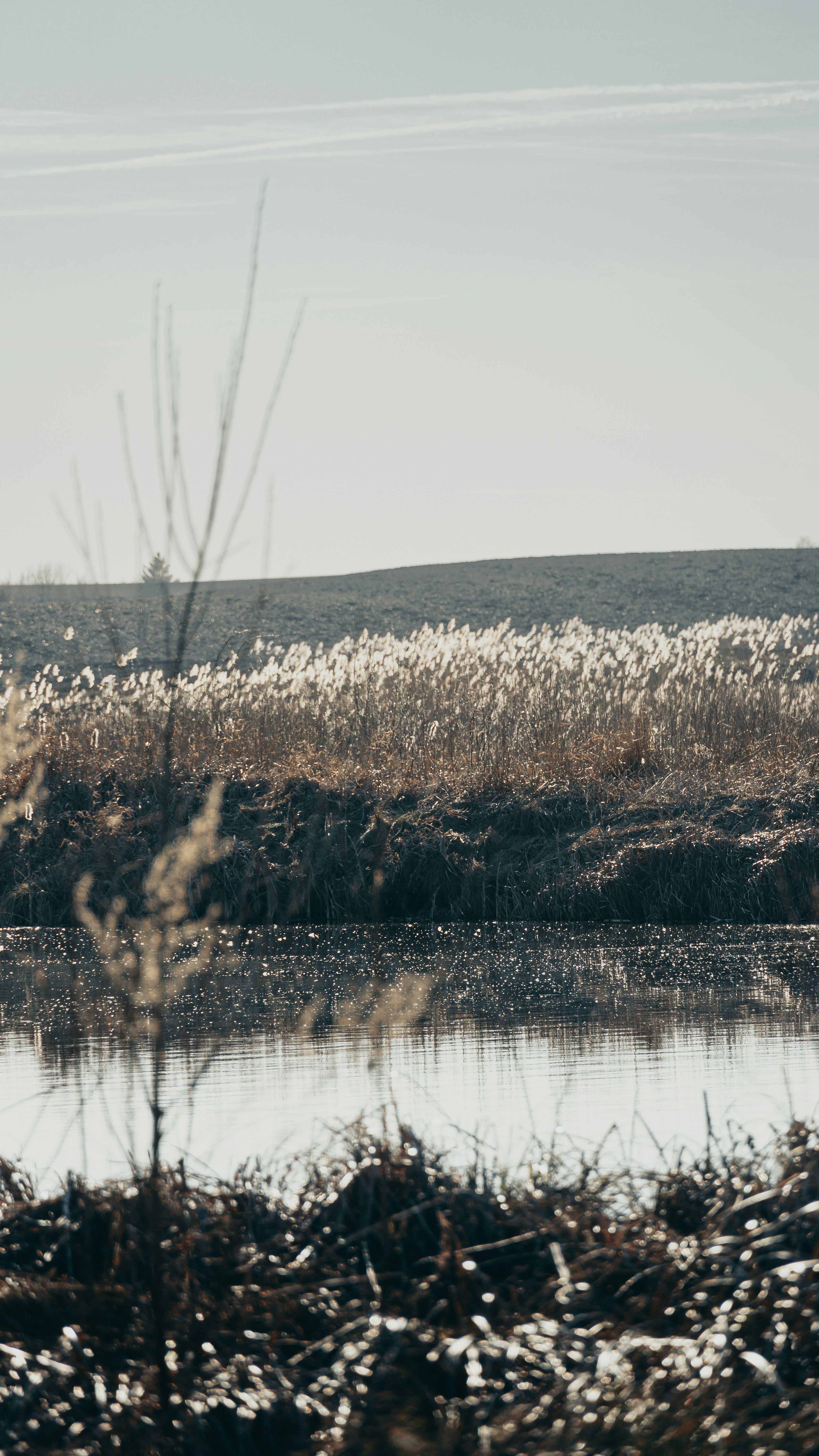 Photo by bielej