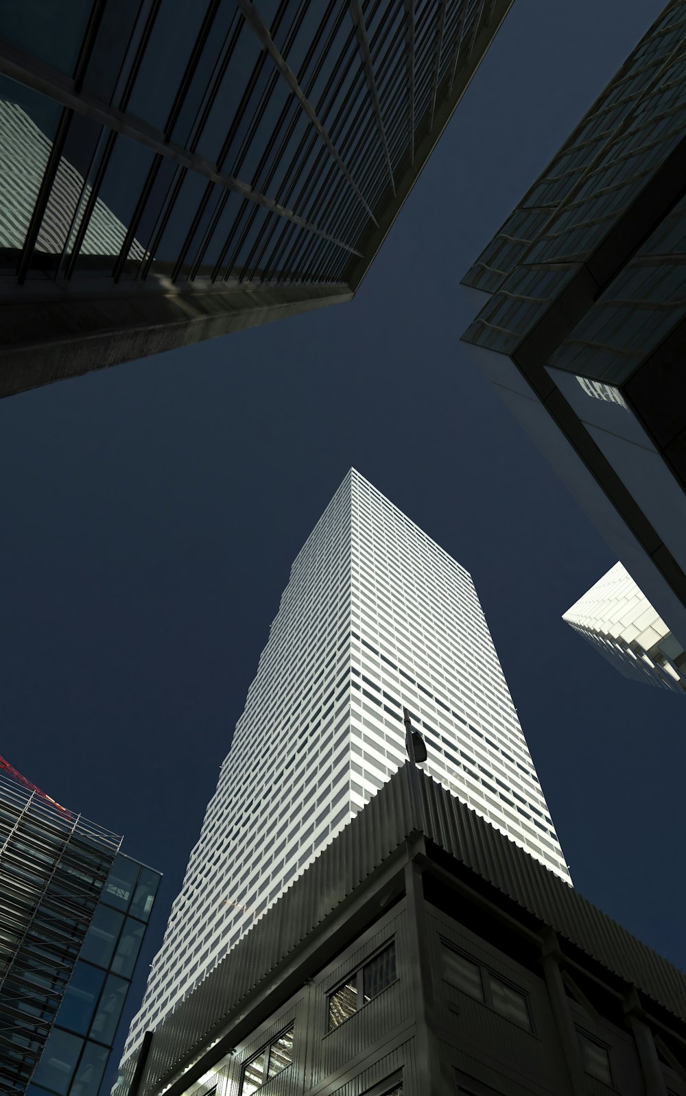 都会の高層ビルを見上げる