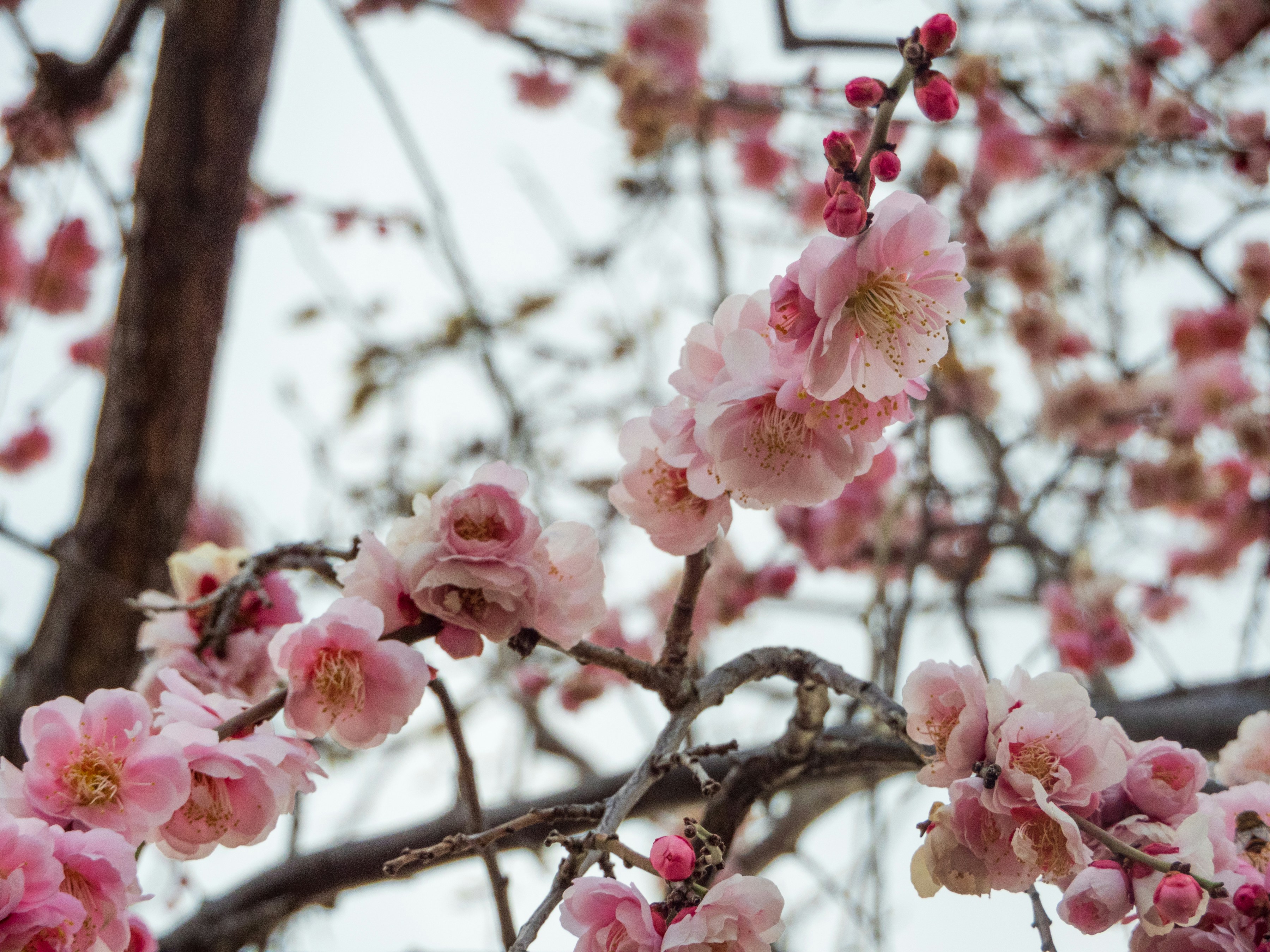 Photo by heppoko_yama