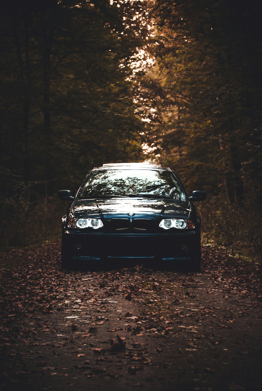 a car parked in the middle of a forest