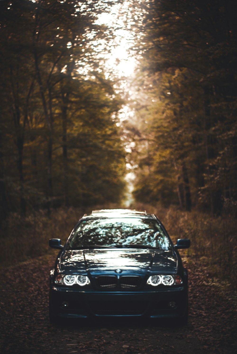 a car parked on the side of a road in the woods