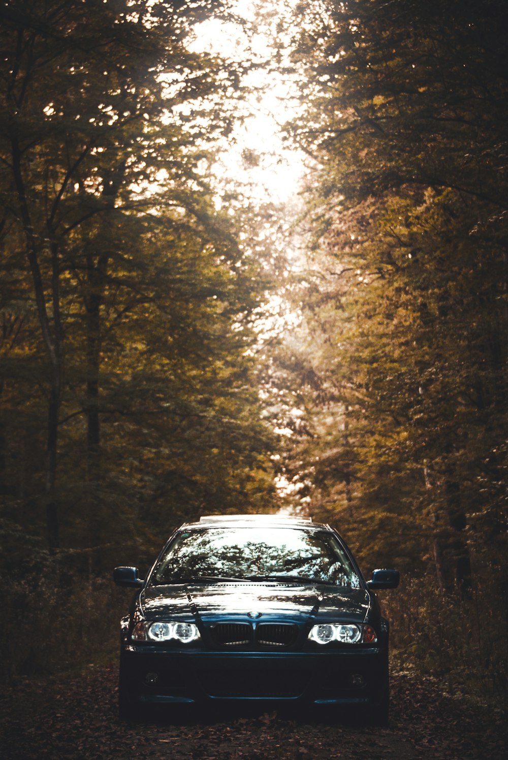 a car parked in front of a tree