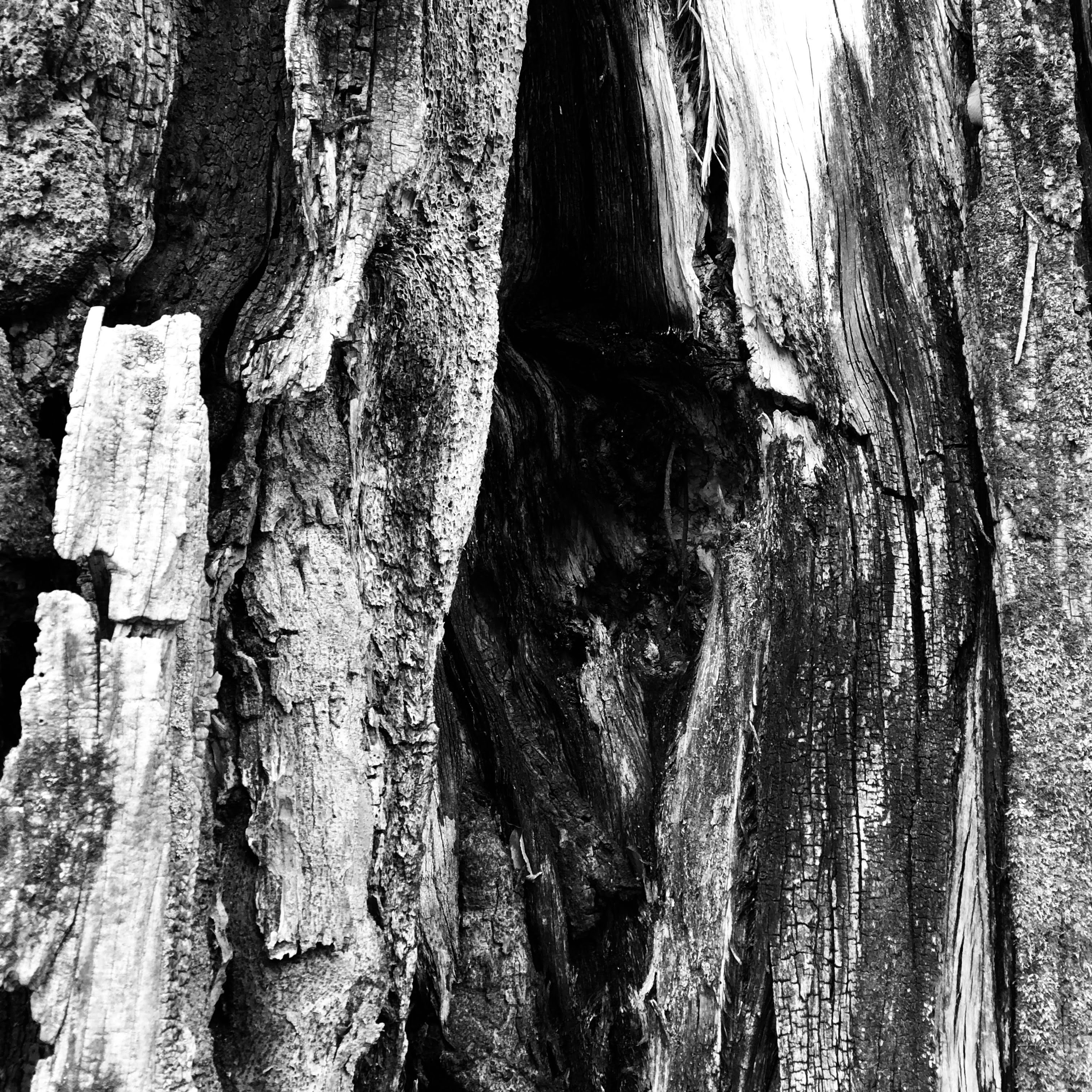 Photo by ry0kawasak1