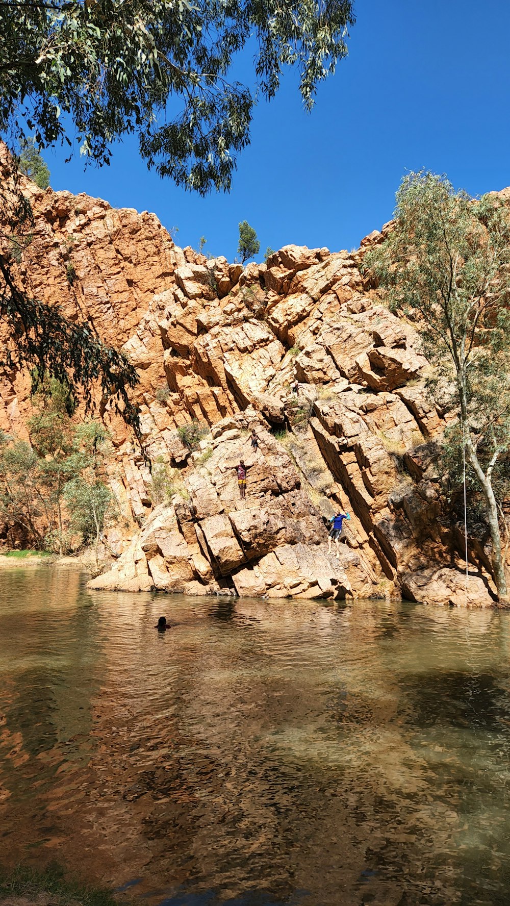 a body of water surrounded by rocks and trees