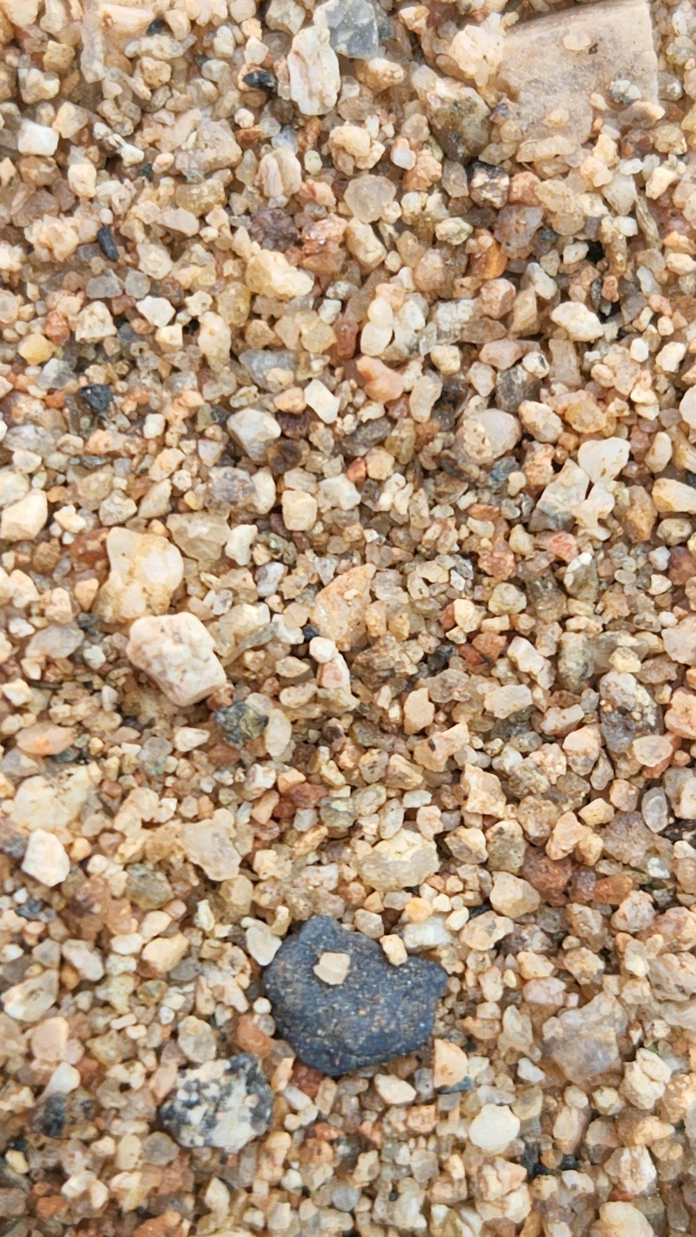 a close up of a rock and gravel surface