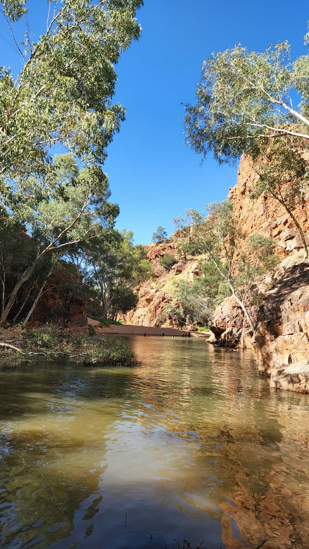 a body of water surrounded by trees and rocks