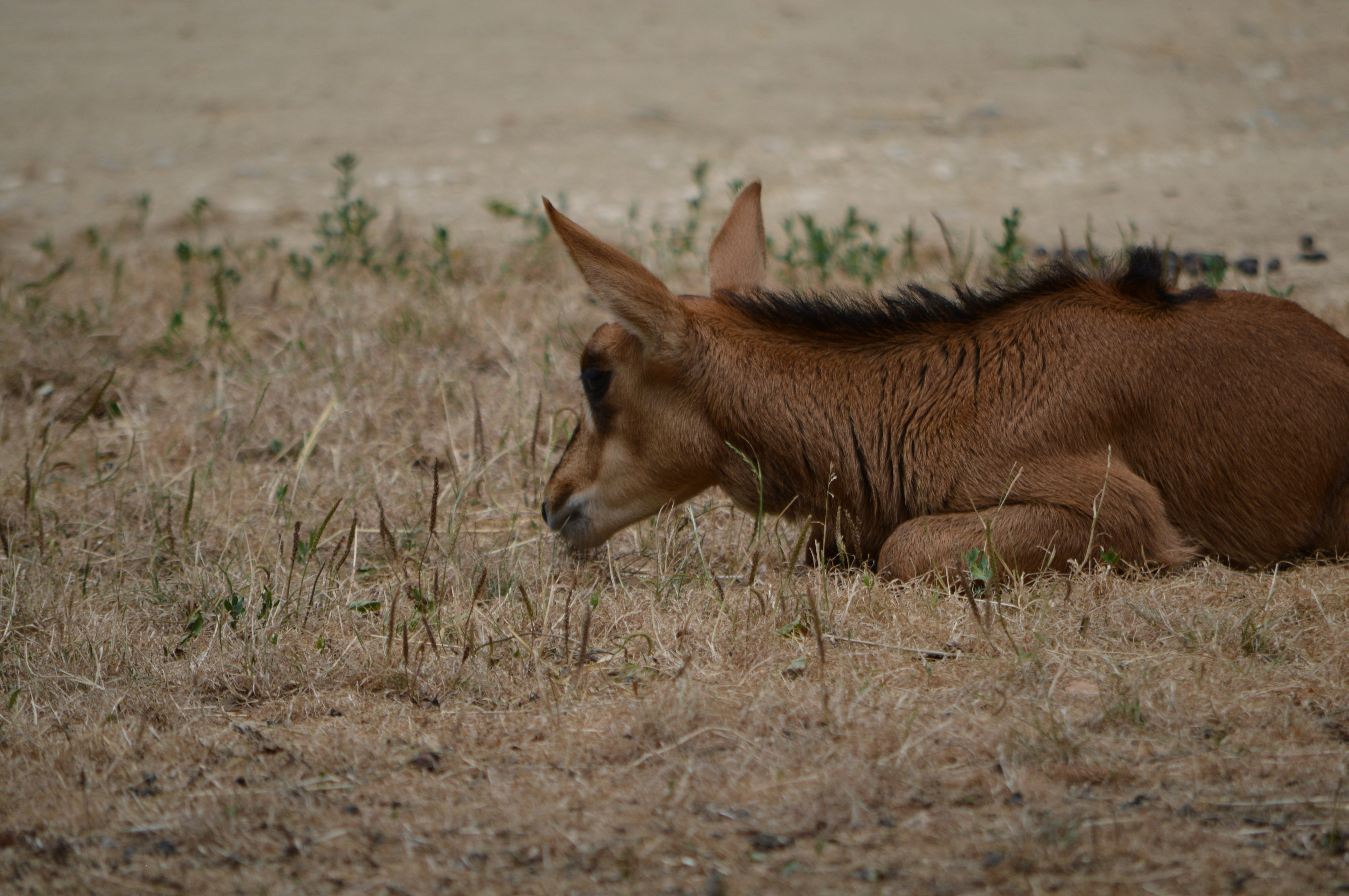 Photo by annikaashley