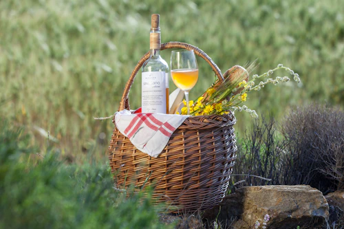Reusable wine tote