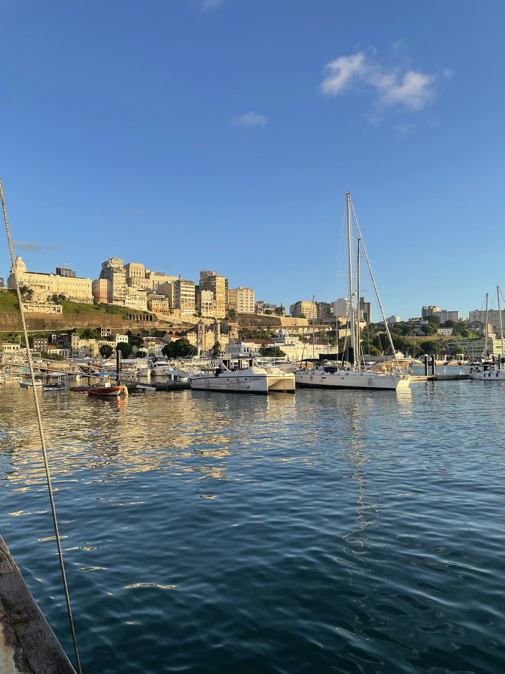 a harbor filled with lots of boats next to a city