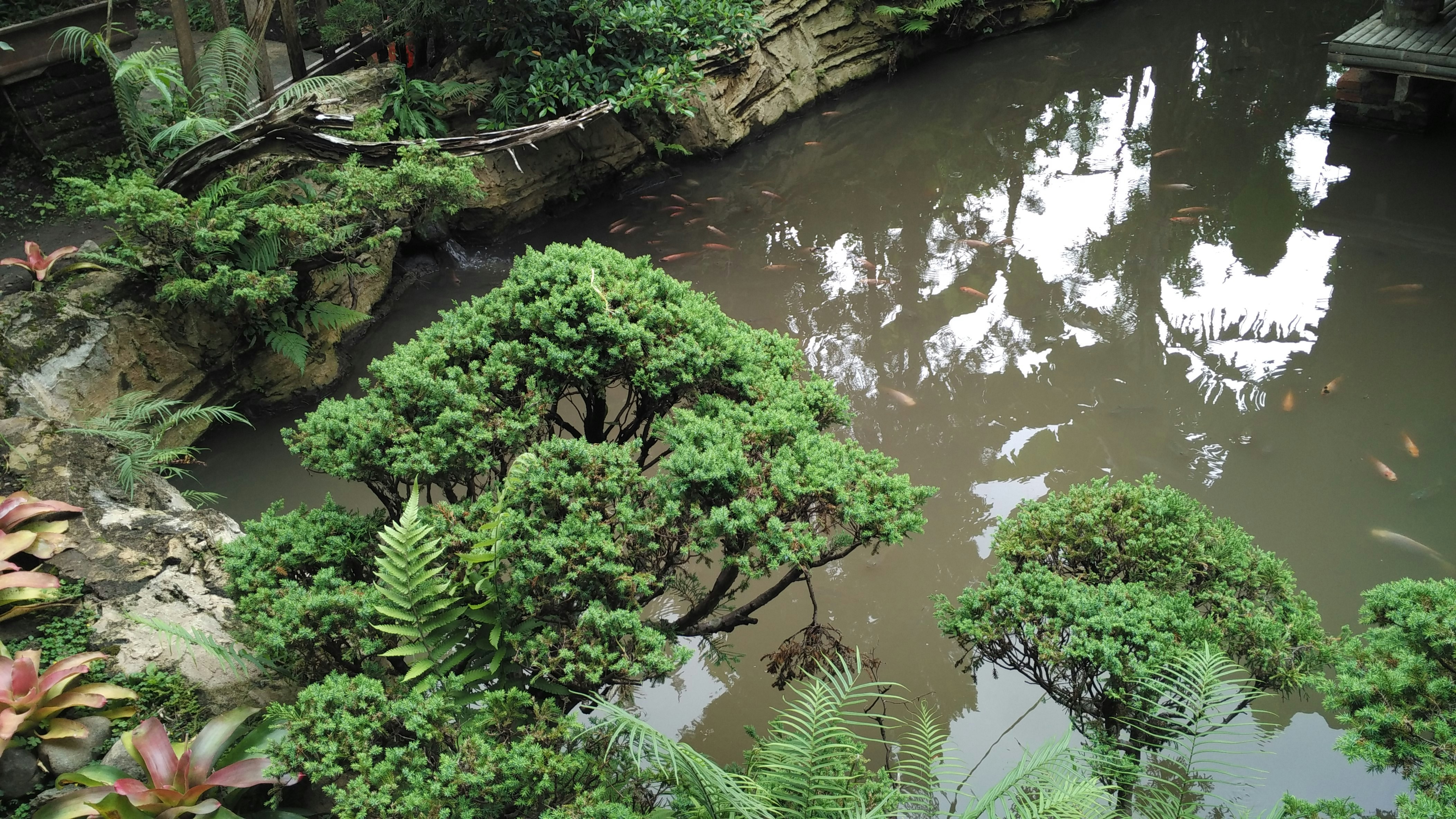 Photo by dedimukhlas