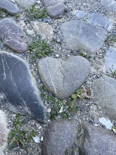 a heart shaped rock sitting on top of a gravel field