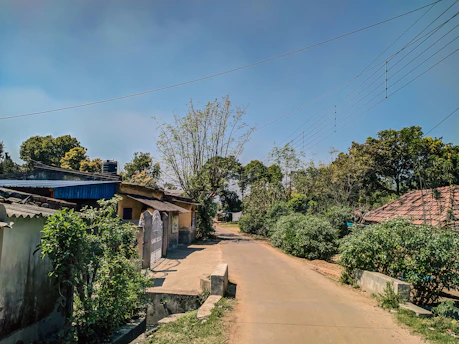 a dirt road with houses and trees in the background