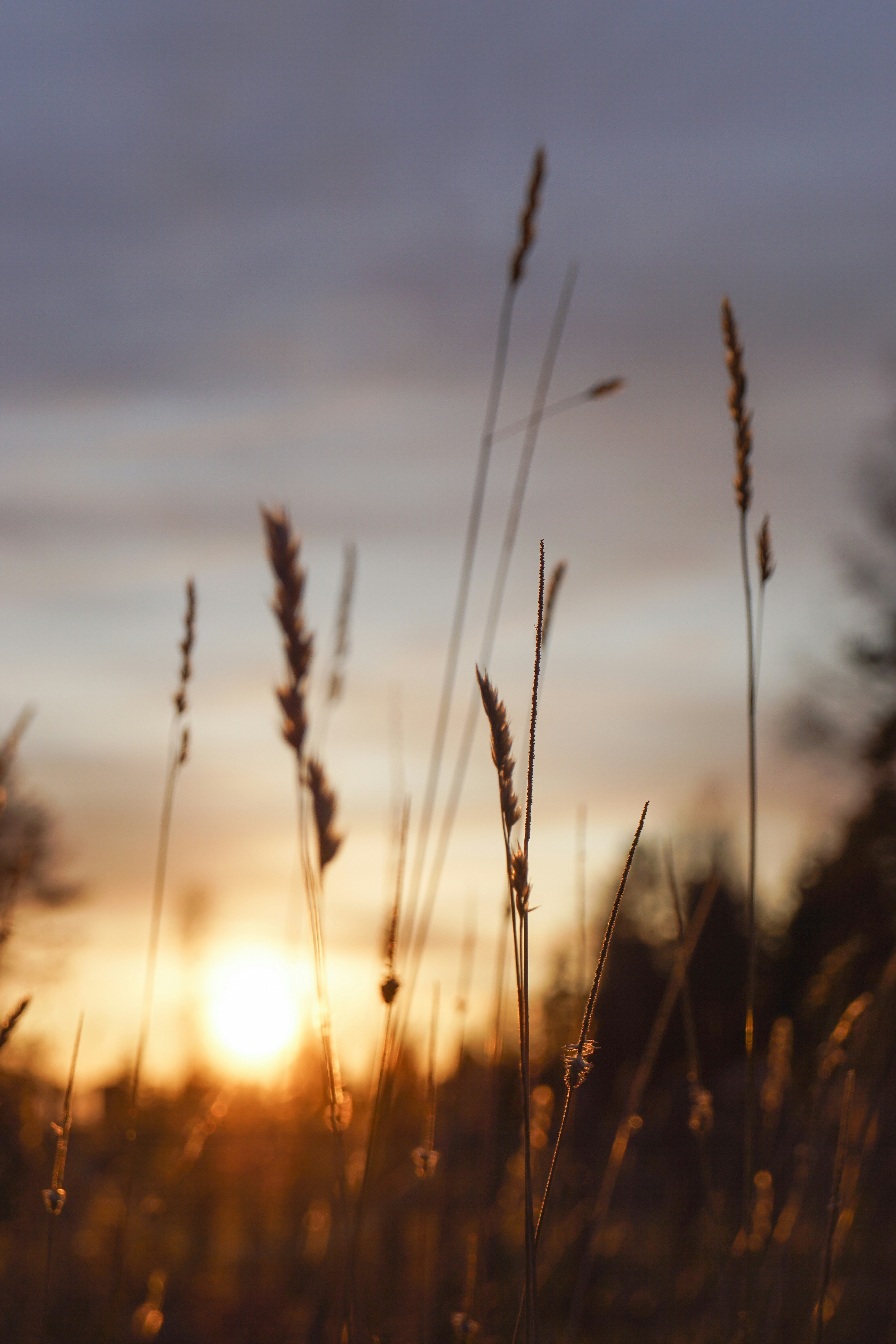 Photo by teddywithfilm