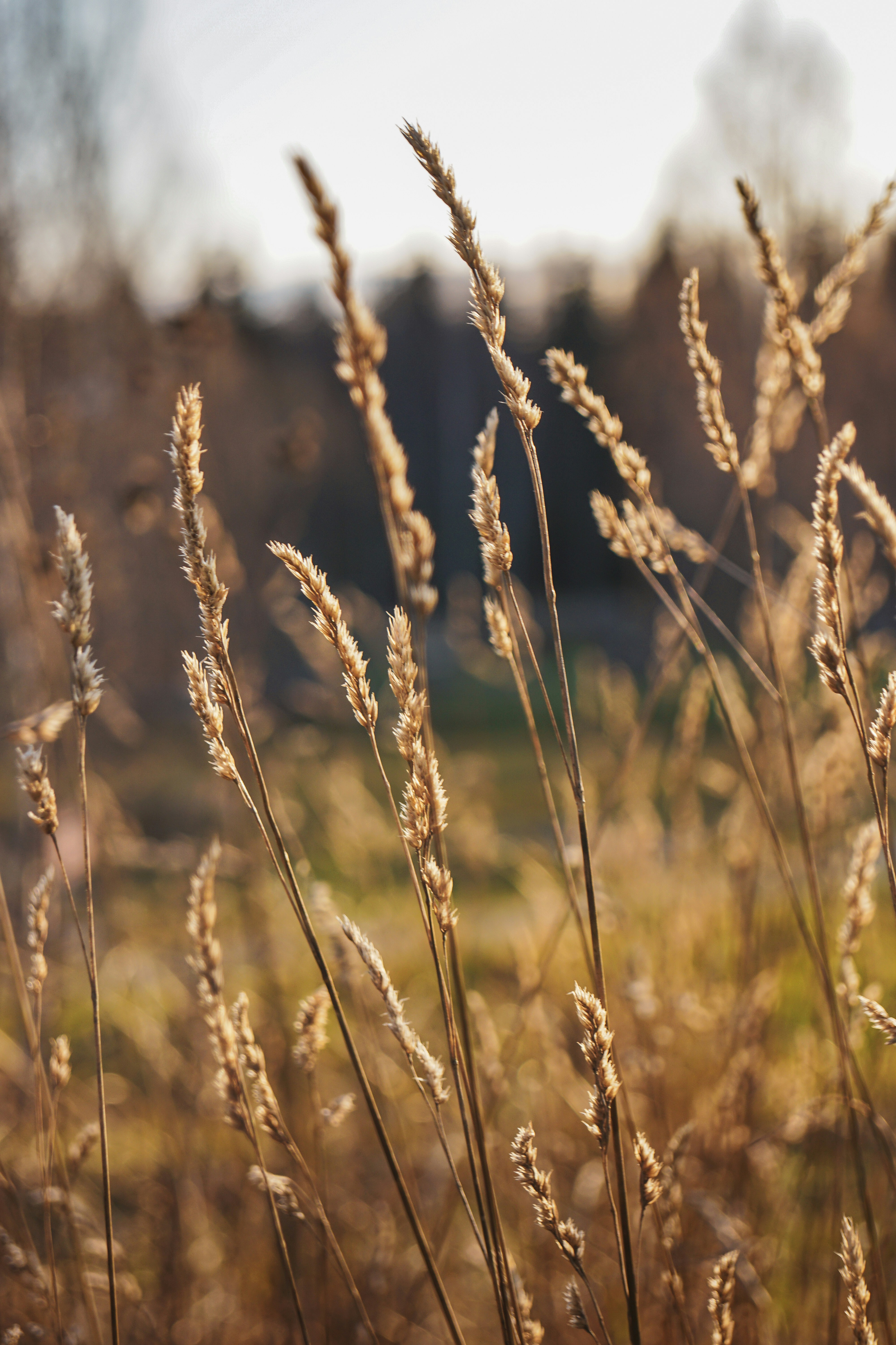 Photo by teddywithfilm