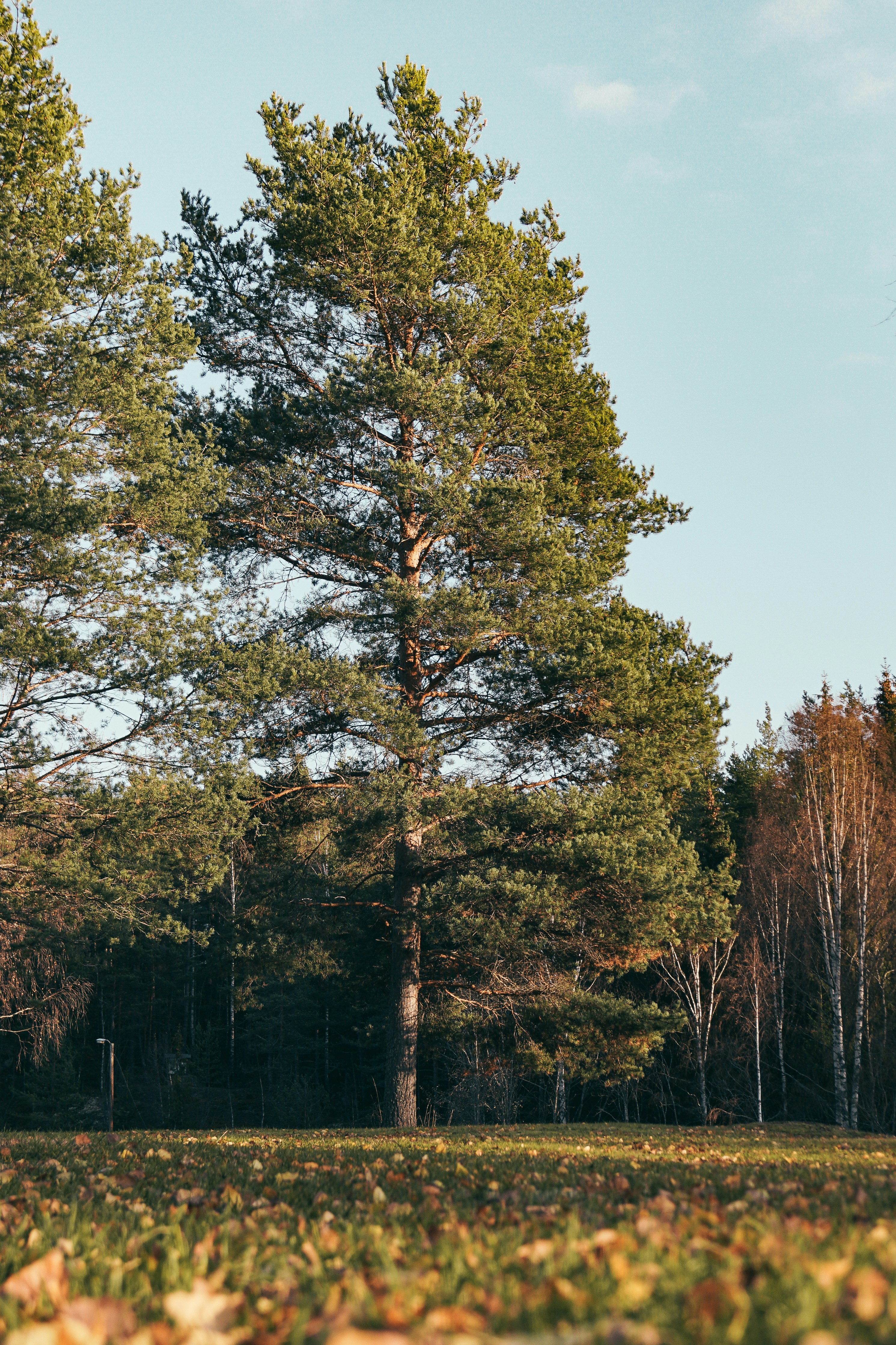 Photo by teddywithfilm