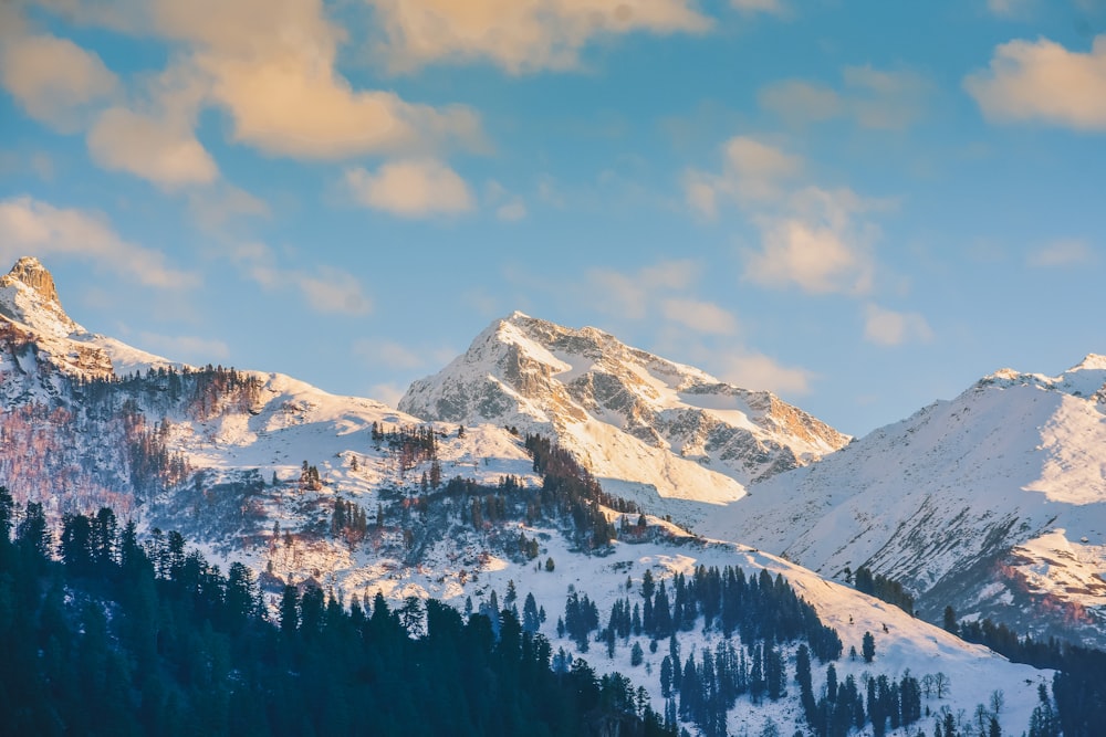 a snow covered mountain range with trees in the foreground